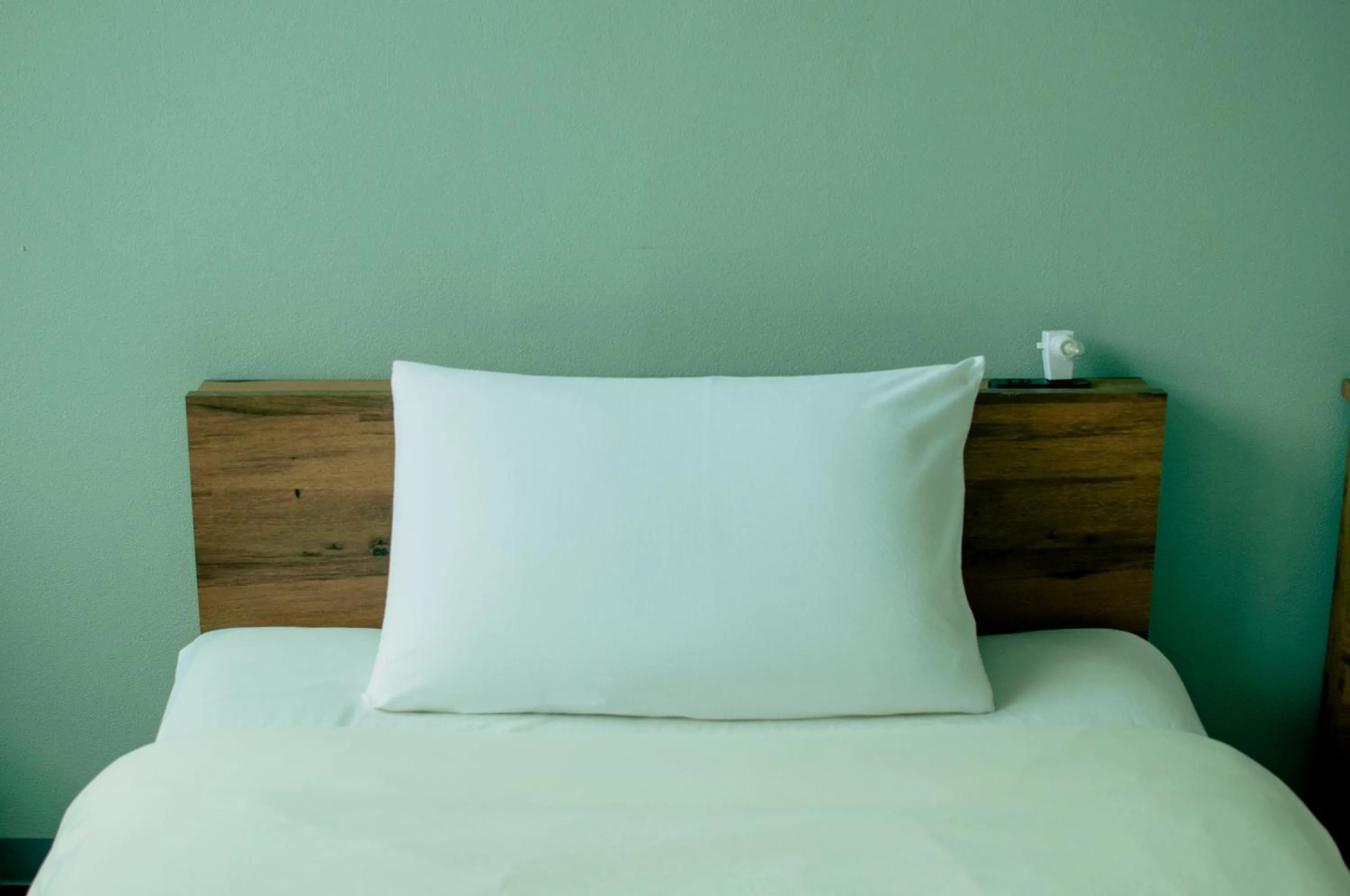 Bed in Hostel Mt. Fuji - FUKUYA