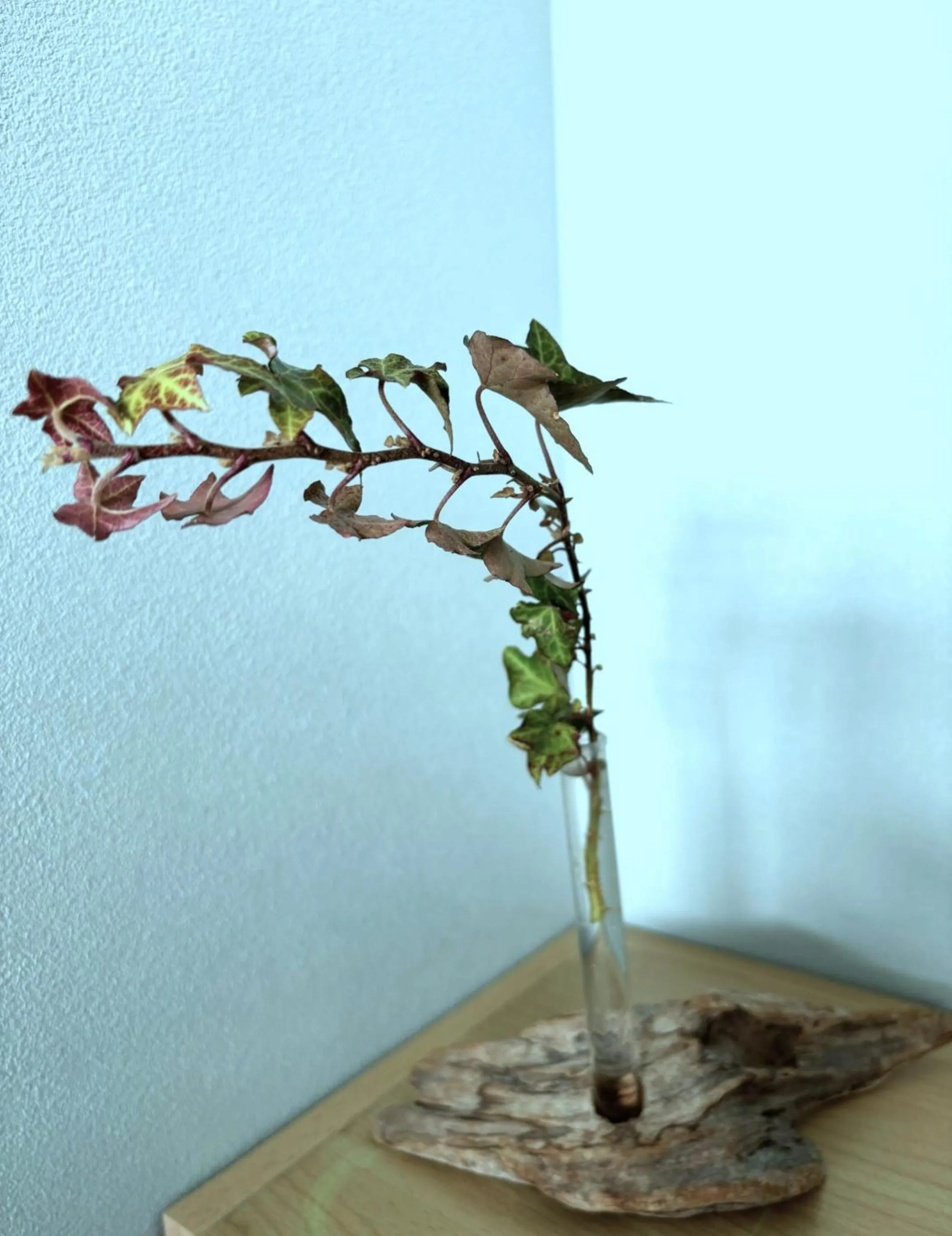 Decorative detail in Hostel Mt. Fuji - FUKUYA