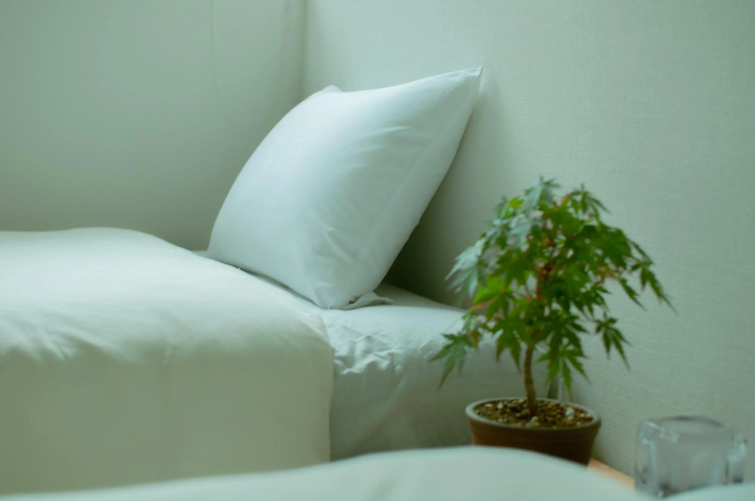 Bed in Hostel Mt. Fuji - FUKUYA