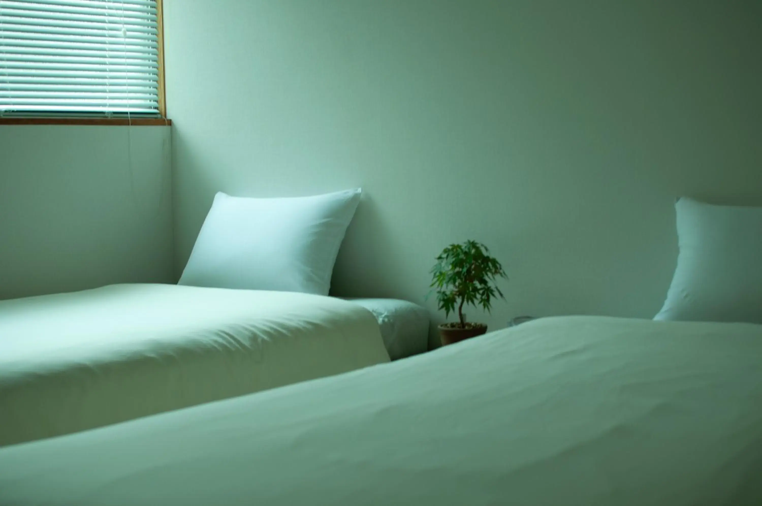 Standard Twin Room in Hostel Mt. Fuji - FUKUYA Standard Twin Room in Hostel Mt. Fuji - FUKUYA