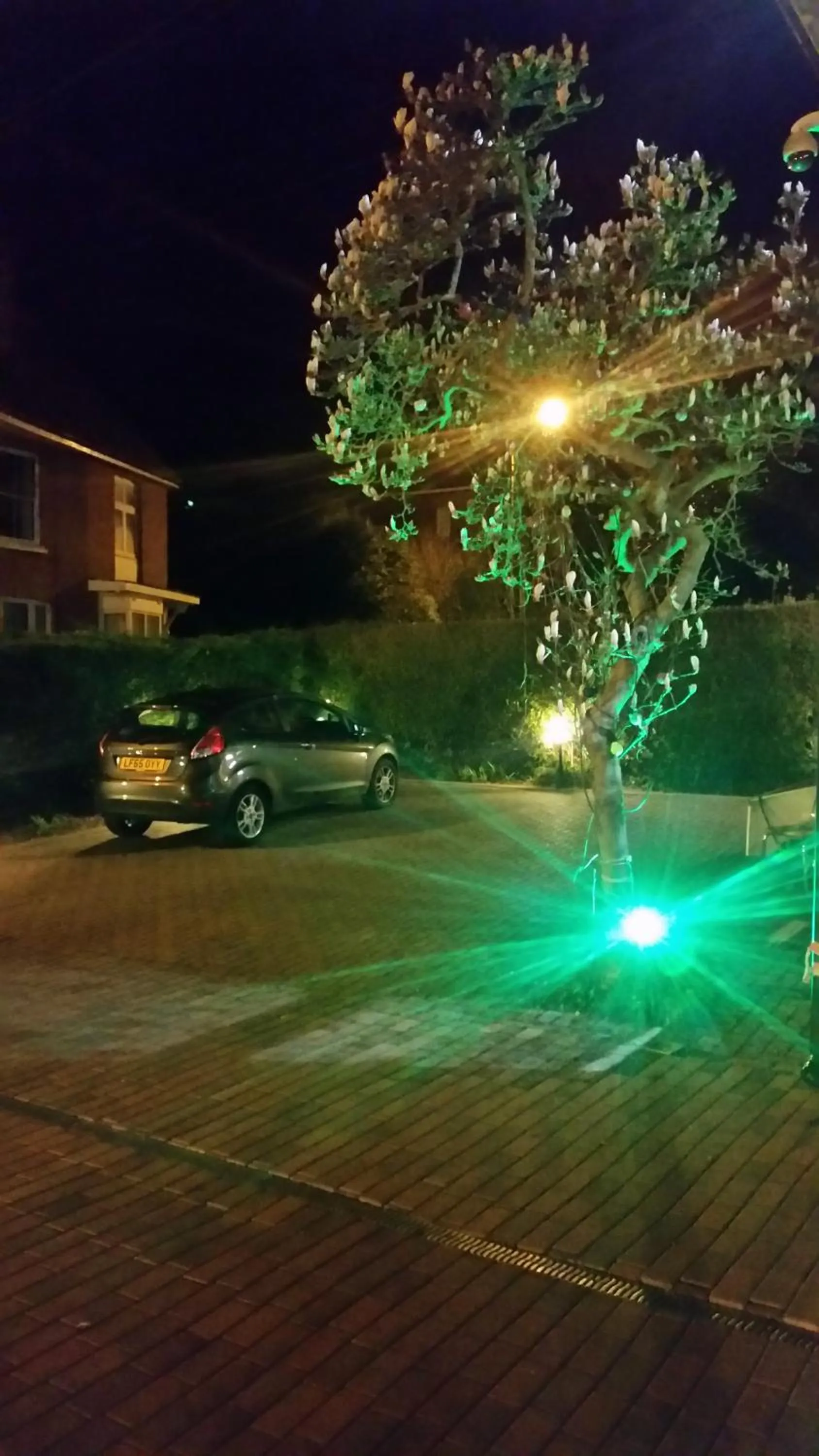 View (from property/room) in Anand Lodge