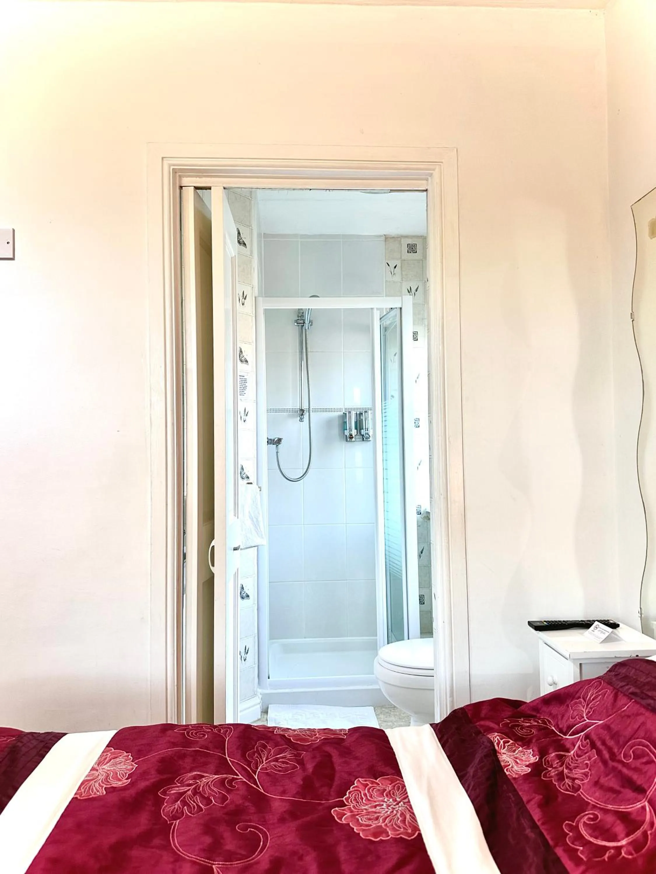 Shower, Bed in Anand Lodge