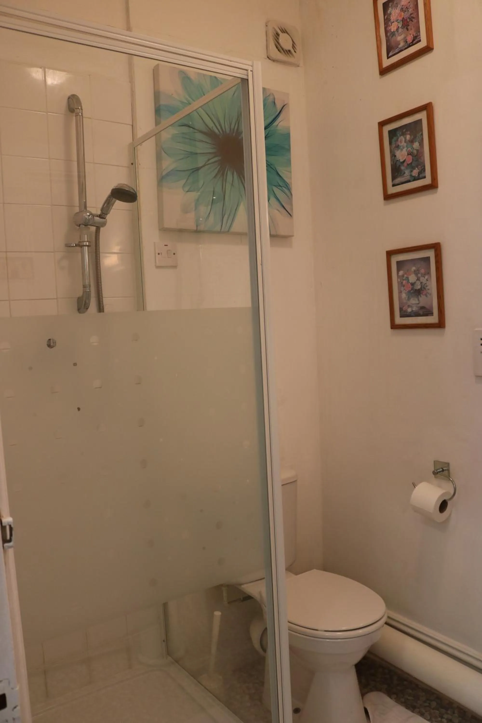 Shower in Anand Lodge