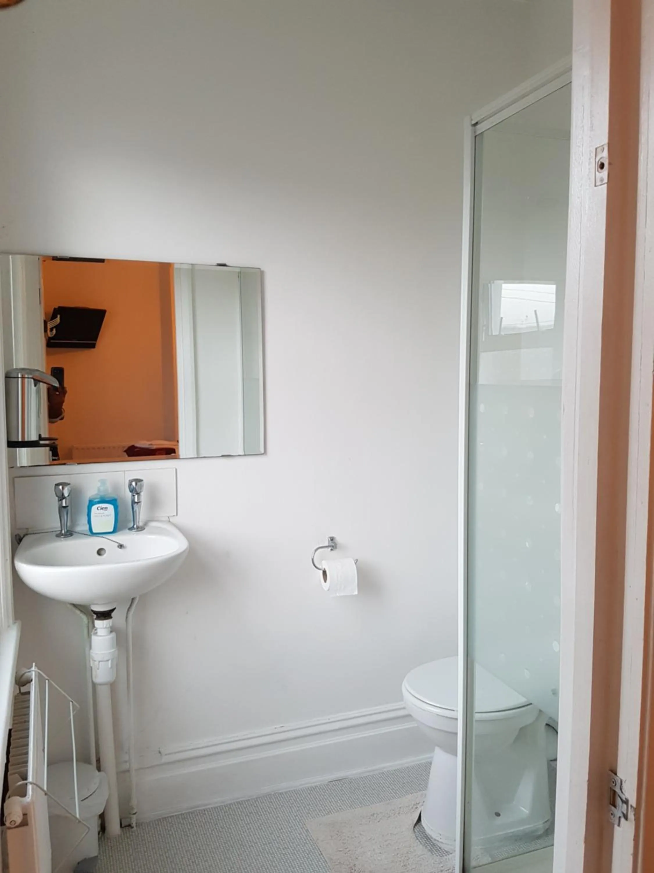 Toilet in Anand Lodge