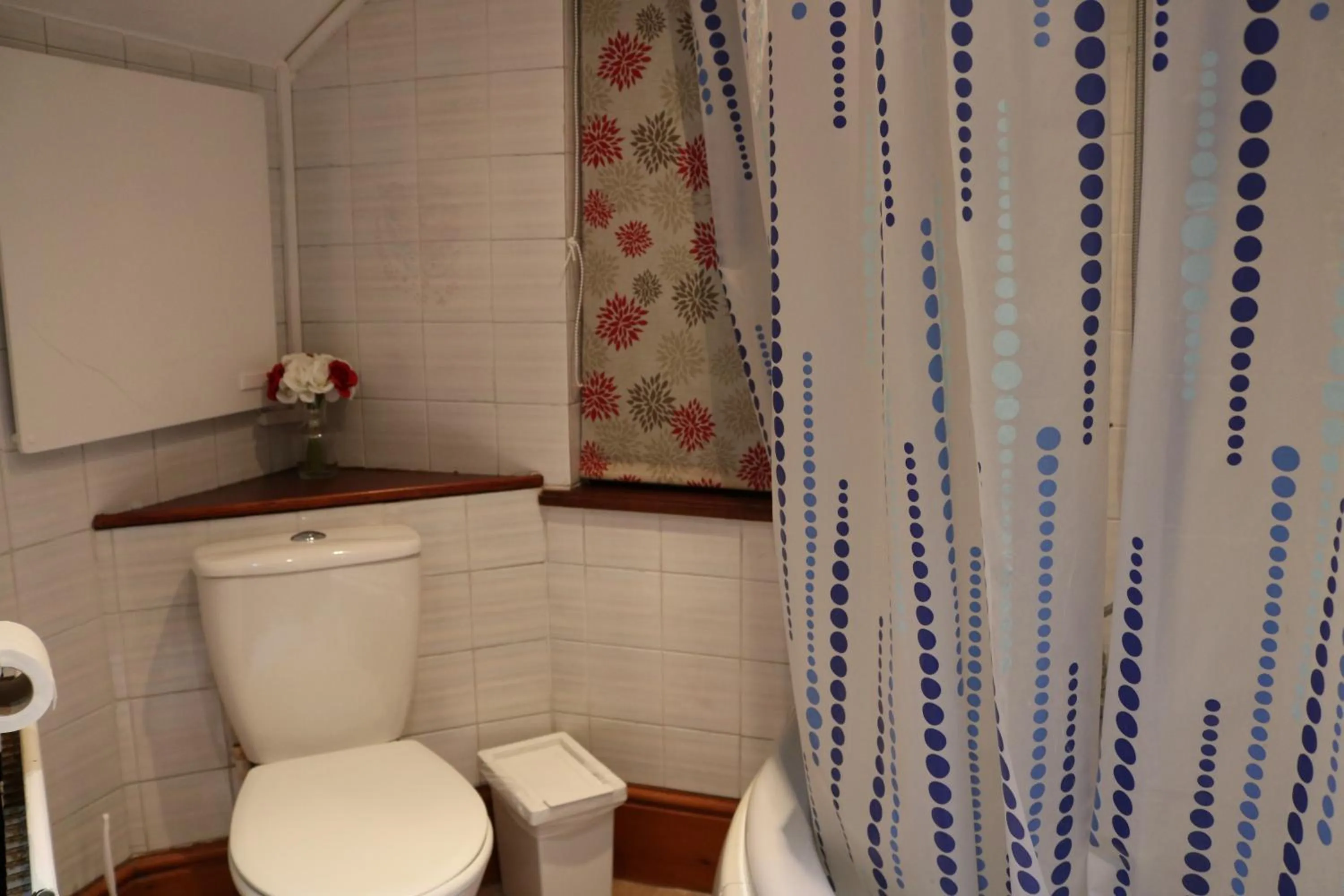 Bathroom in Anand Lodge