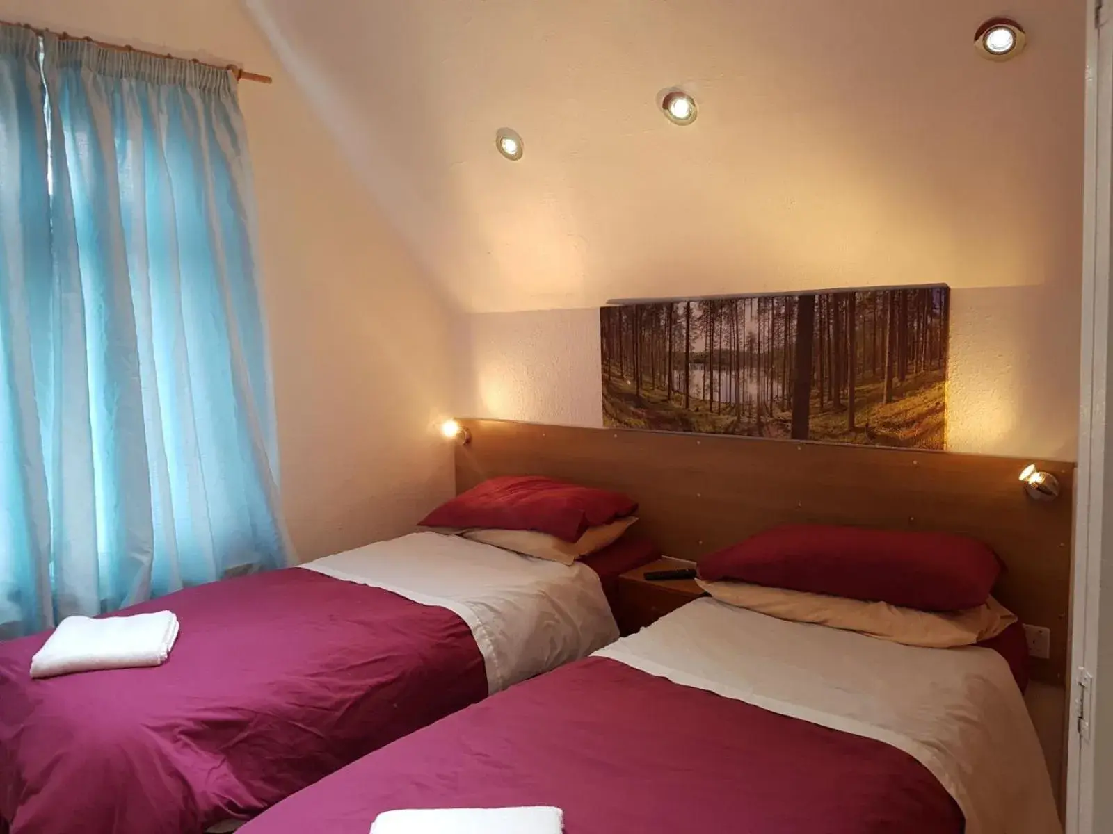 Deluxe Double or Twin Room in Anand Lodge Deluxe Double or Twin Room in Anand Lodge