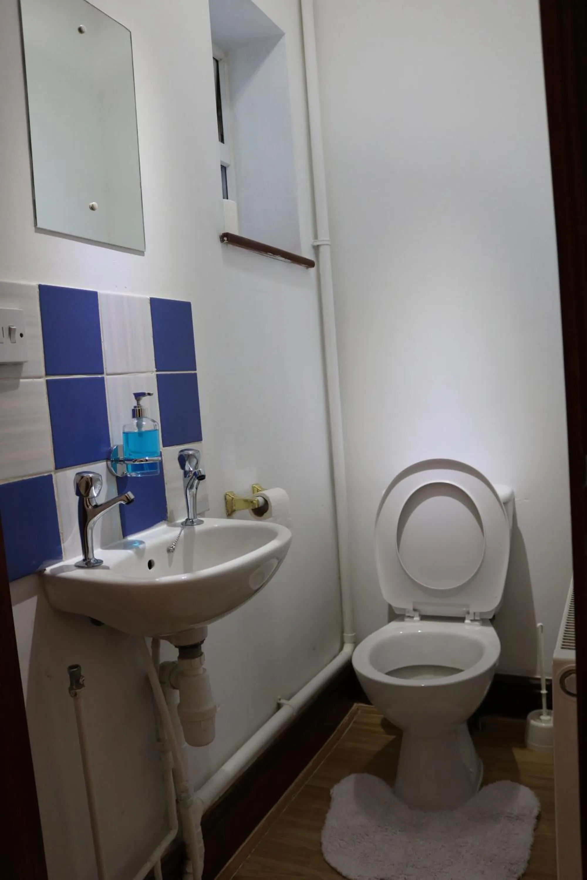 Toilet in Anand Lodge