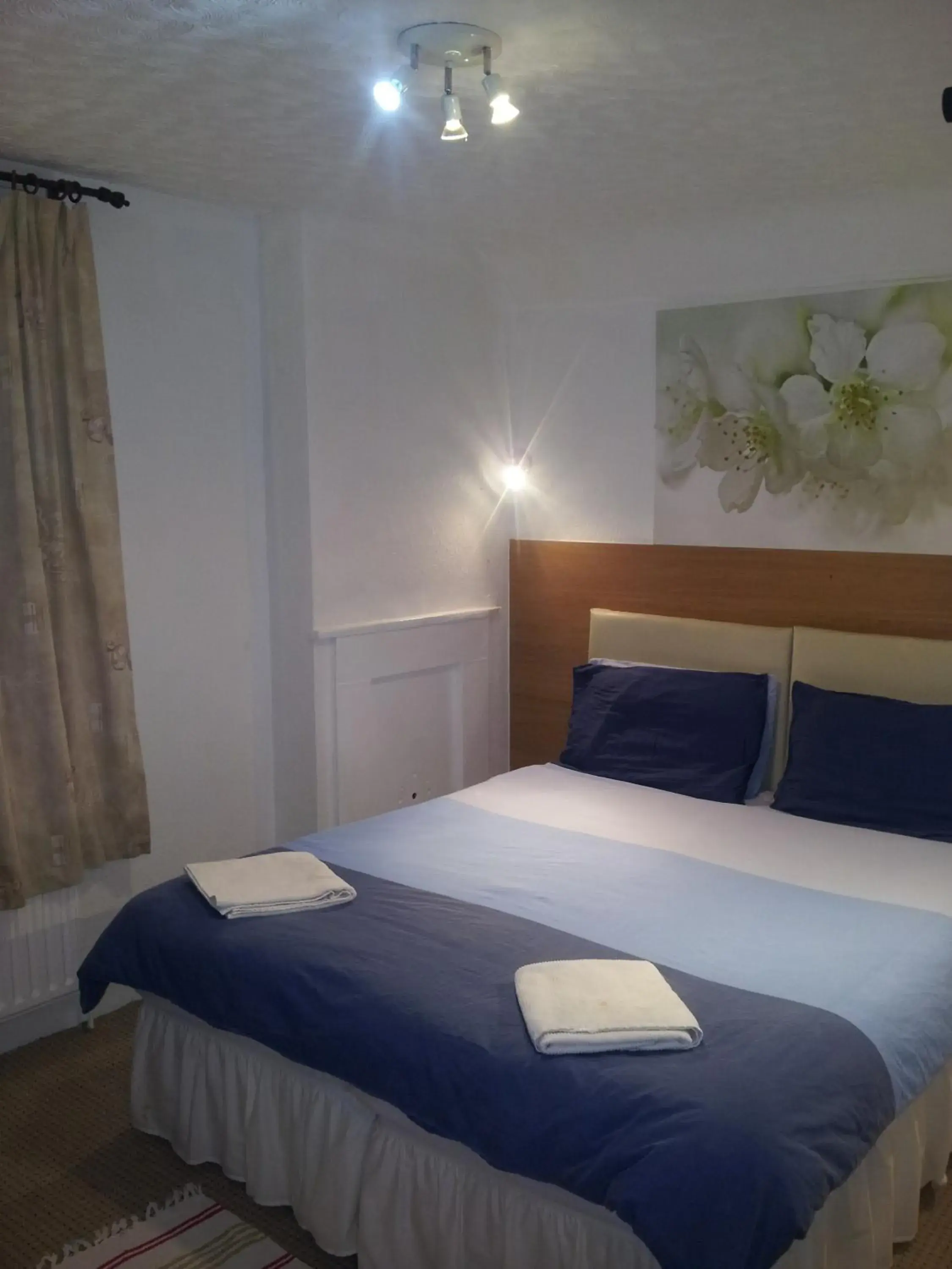 Deluxe Double or Twin Room in Anand Lodge Deluxe Double or Twin Room in Anand Lodge