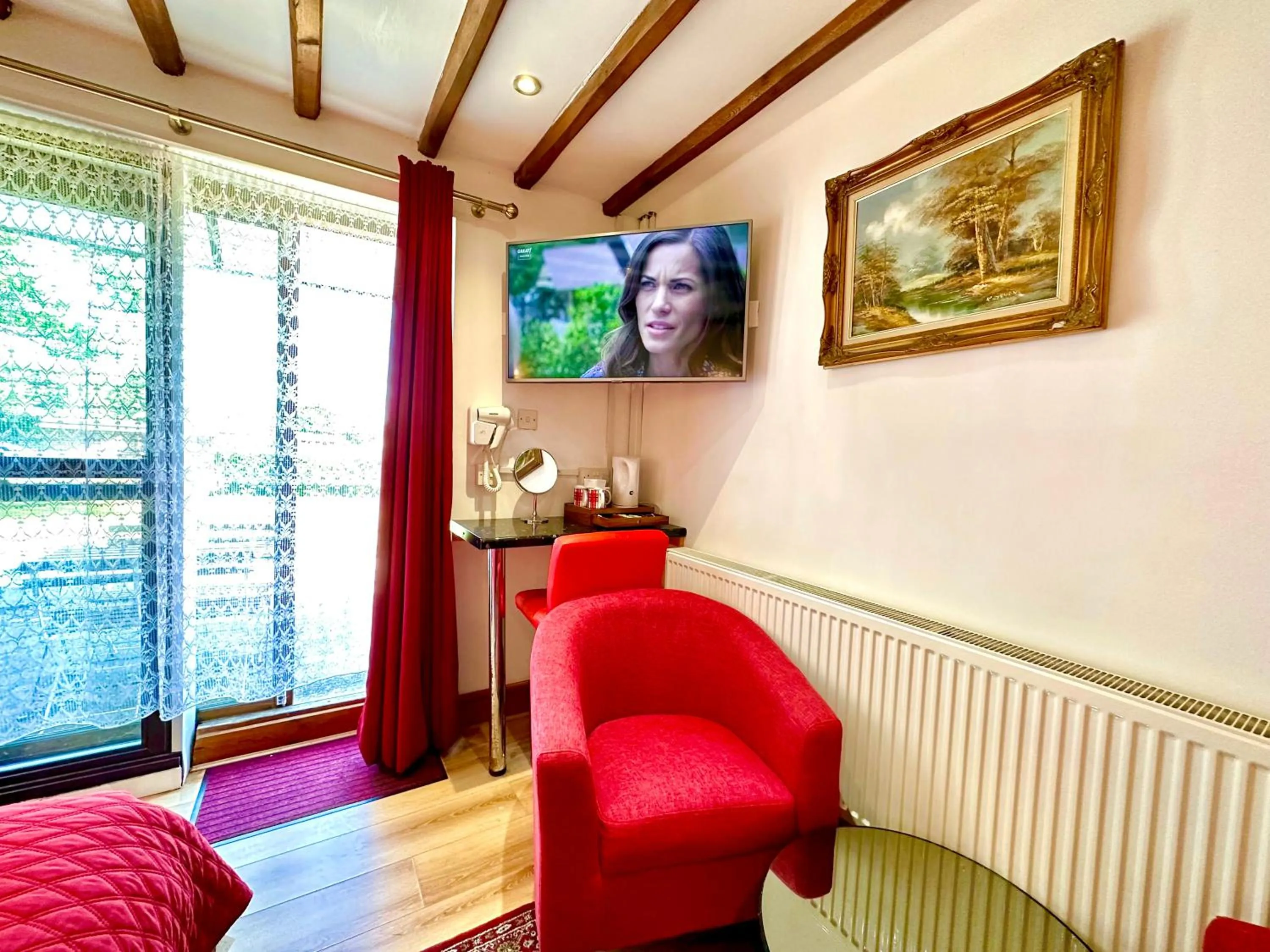 TV and multimedia in Anand Lodge