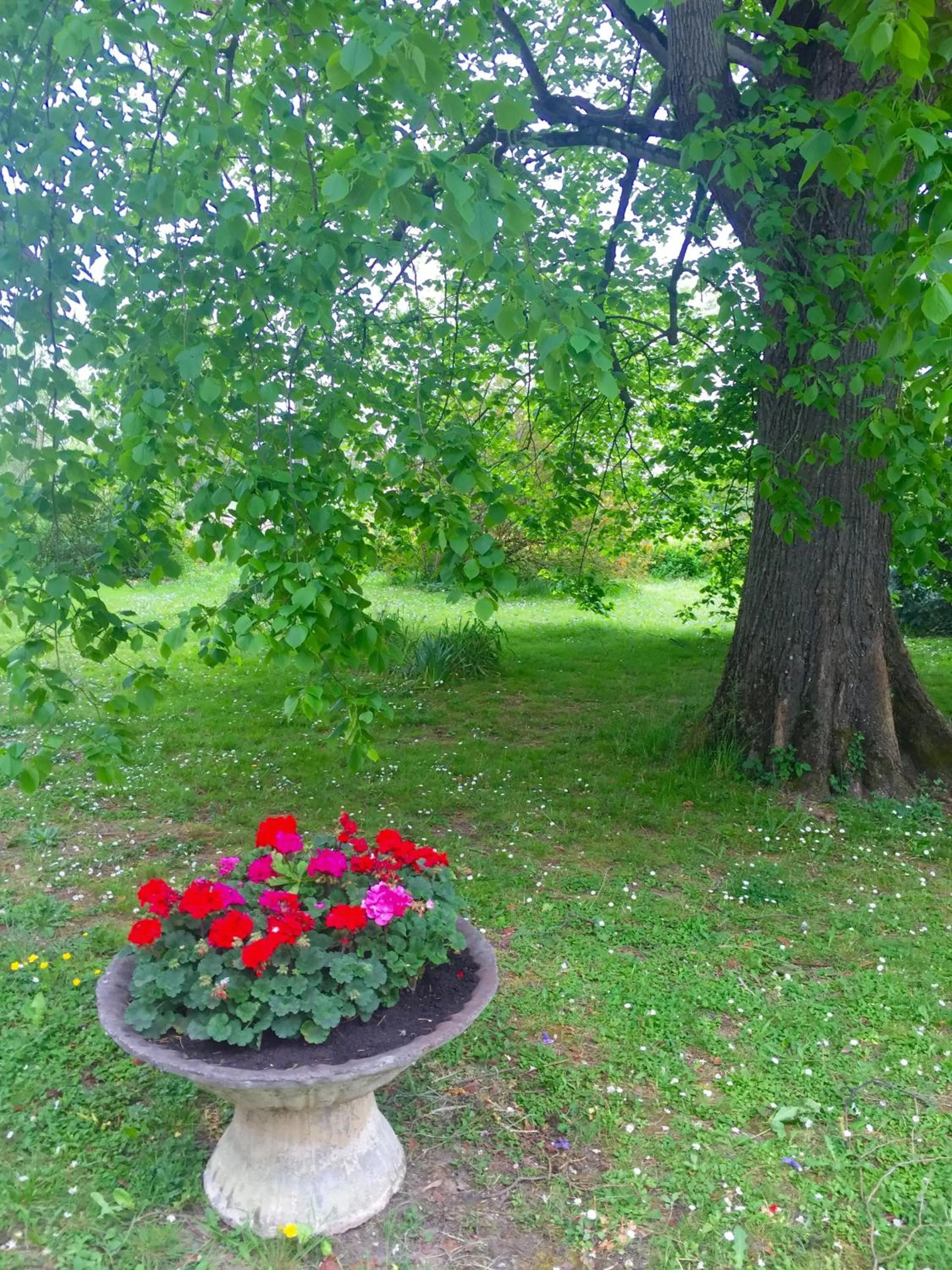 Garden in Villa Toulousaine