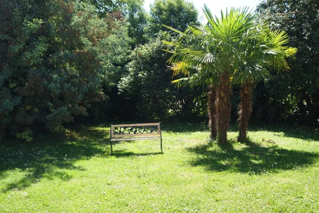 Natural landscape in Villa Toulousaine