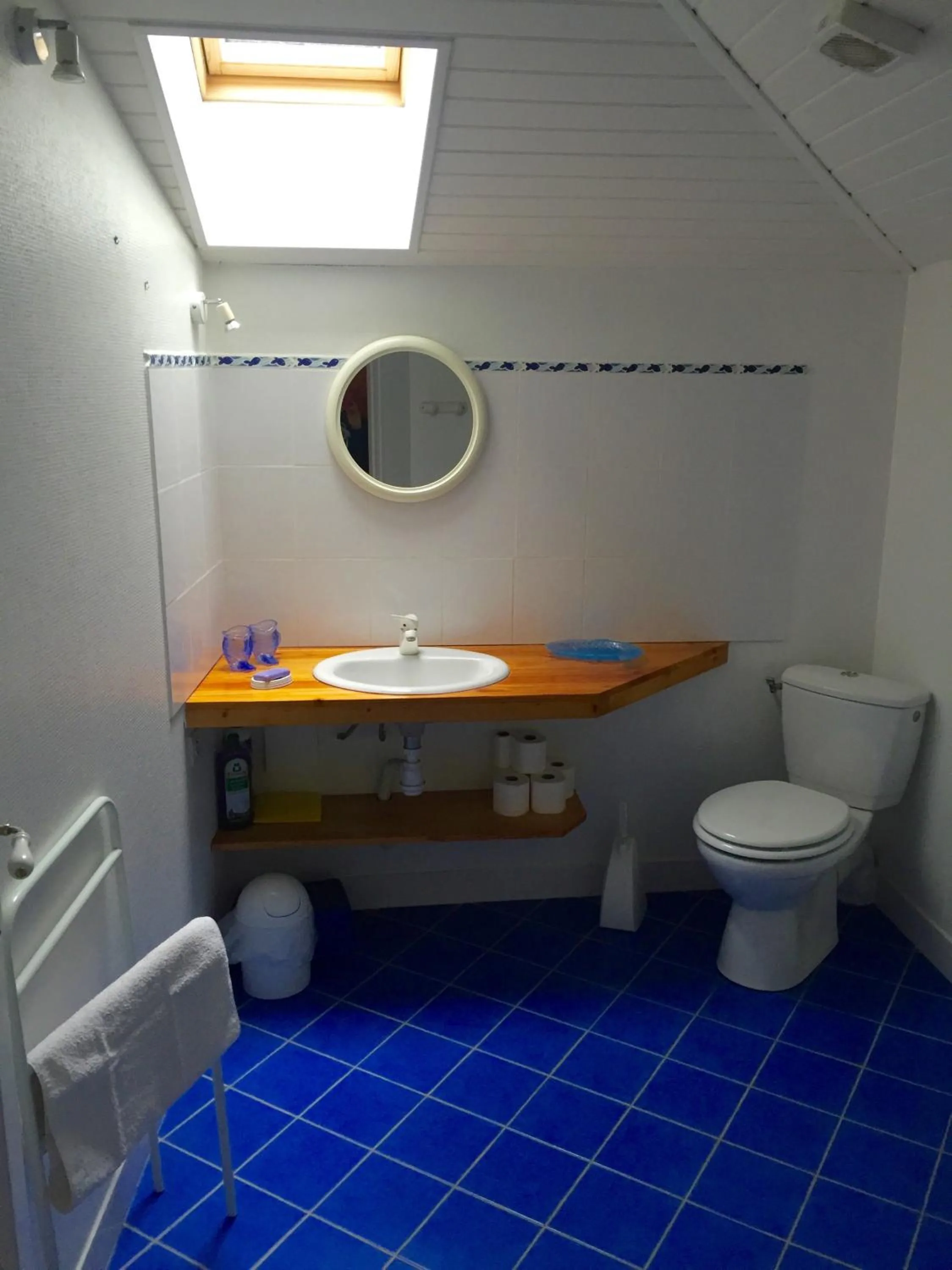 Bathroom in Villa Toulousaine