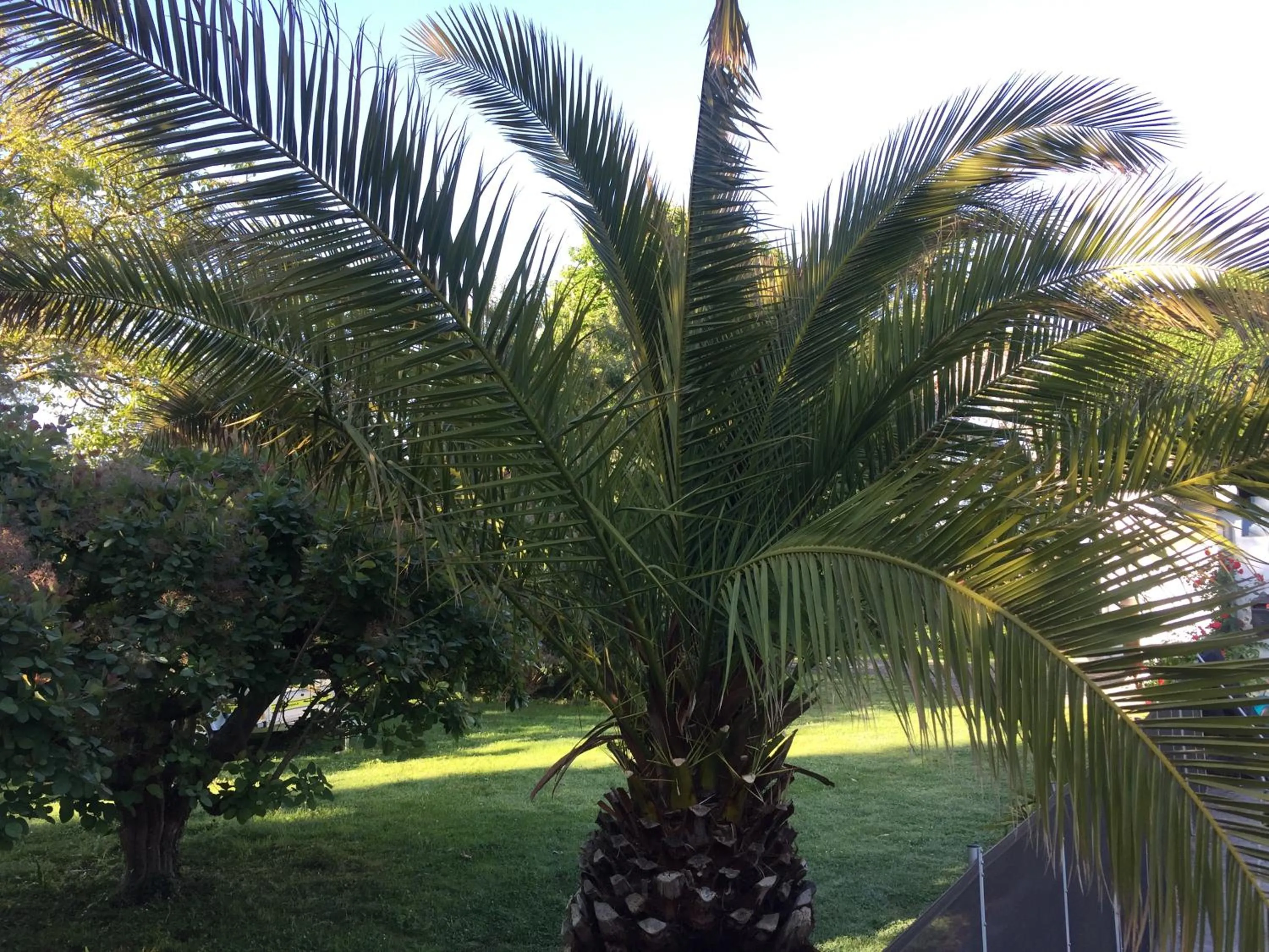 Garden in Villa Toulousaine