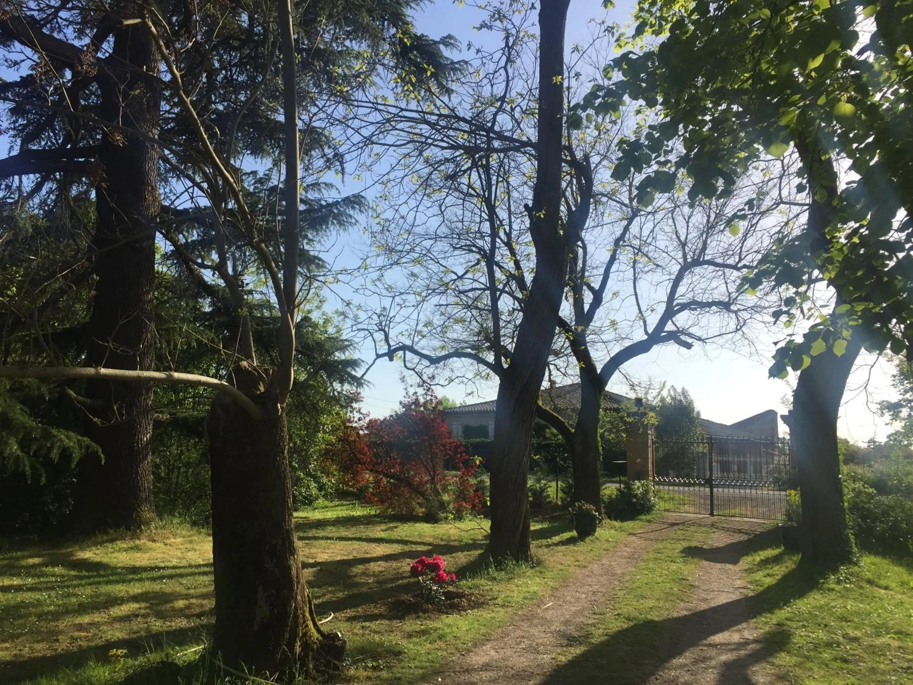 Natural landscape in Villa Toulousaine