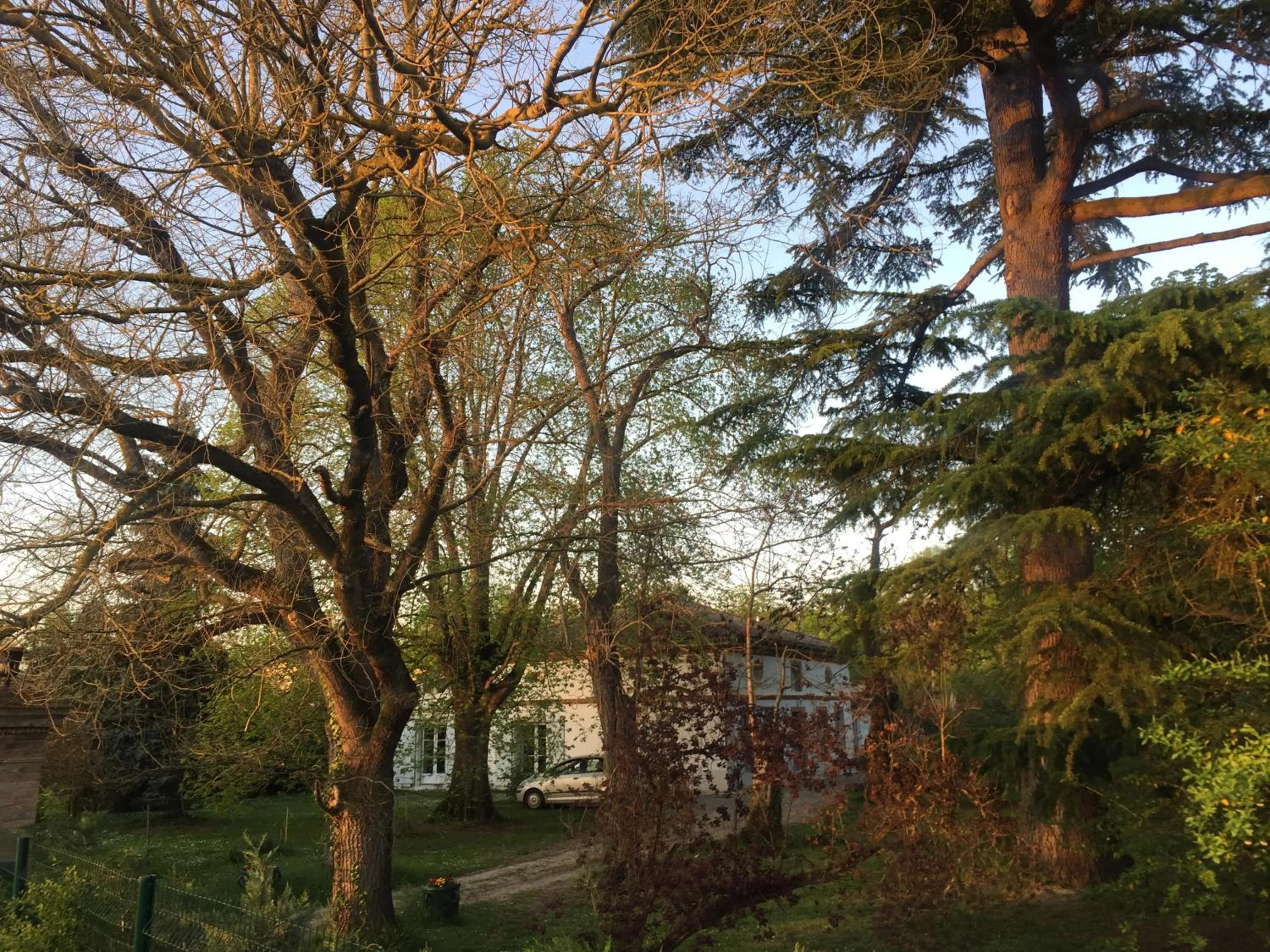 Autumn in Villa Toulousaine
