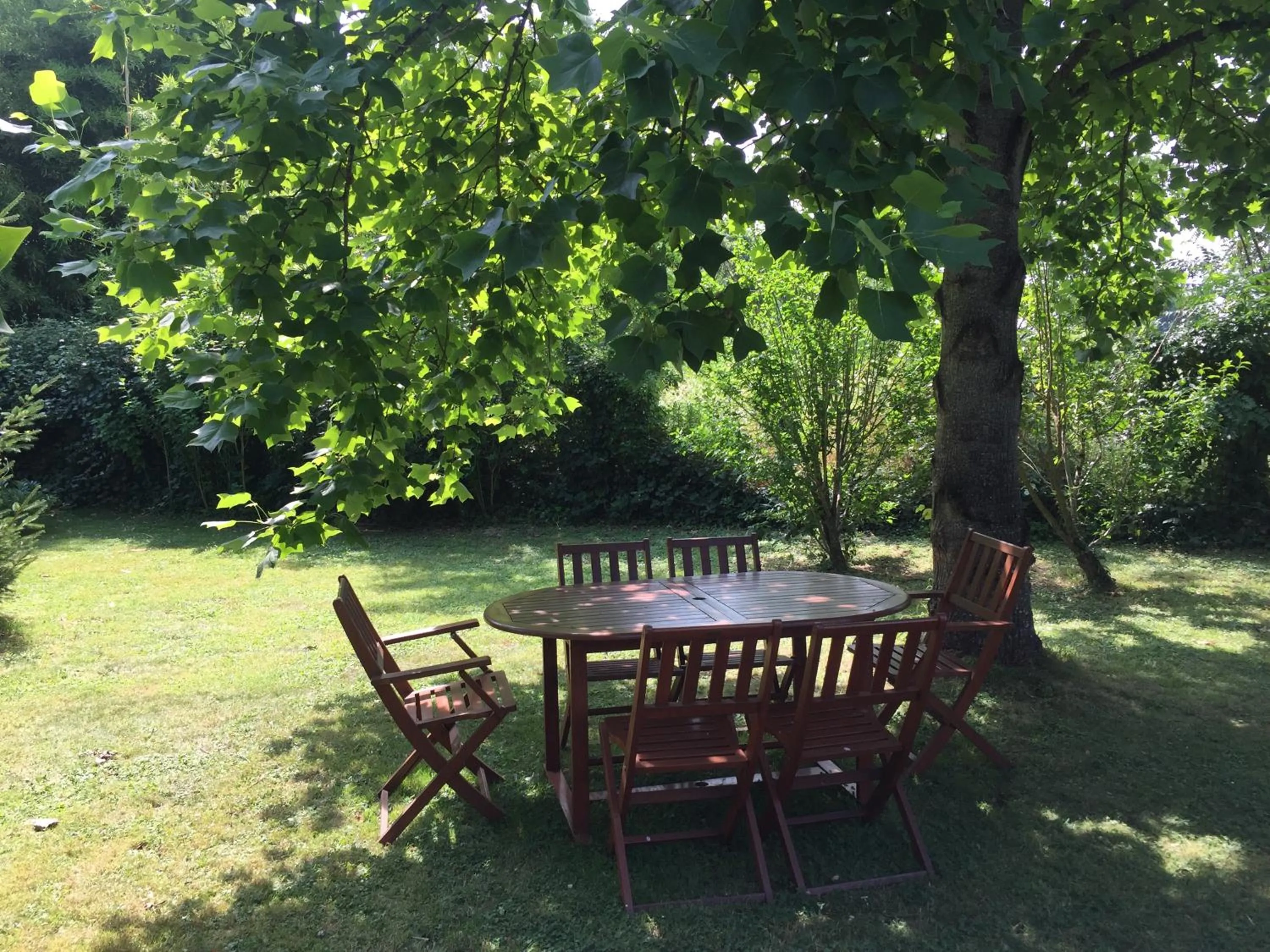 Garden in Villa Toulousaine