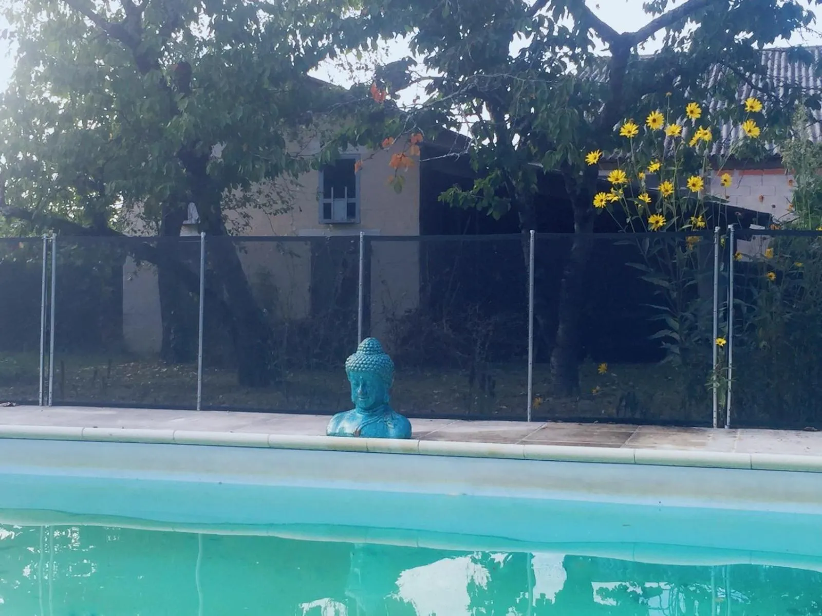 Swimming pool in Villa Toulousaine