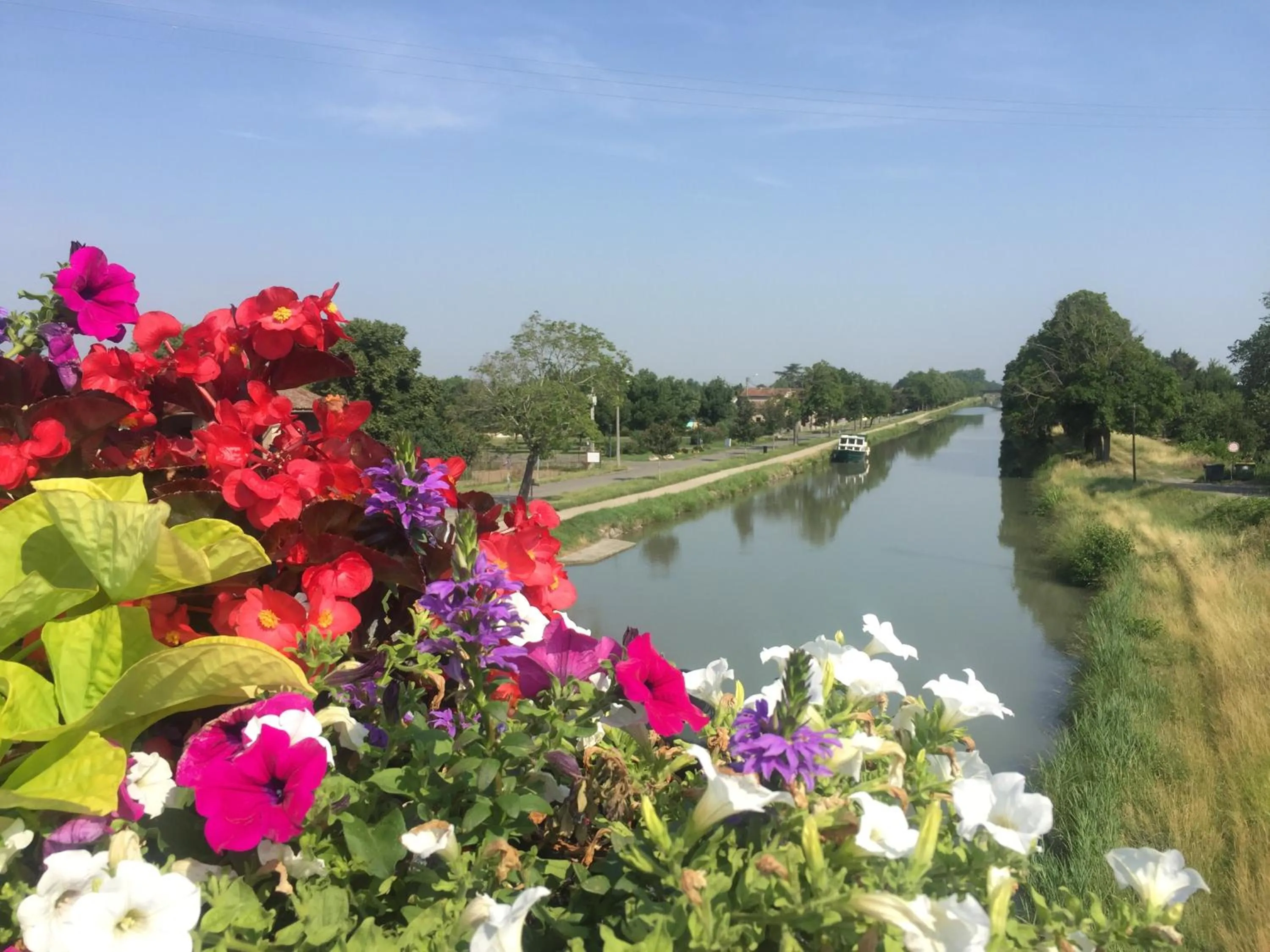 Garden in Villa Toulousaine