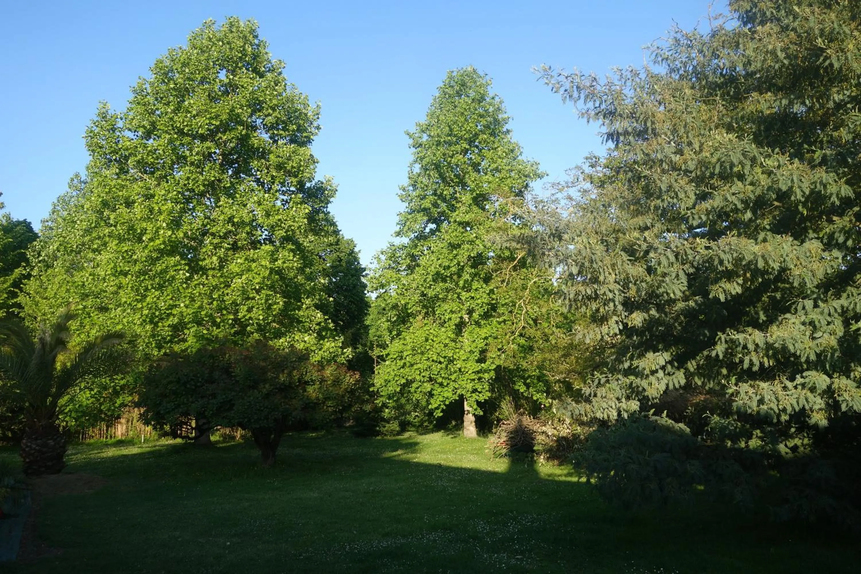 Garden in Villa Toulousaine