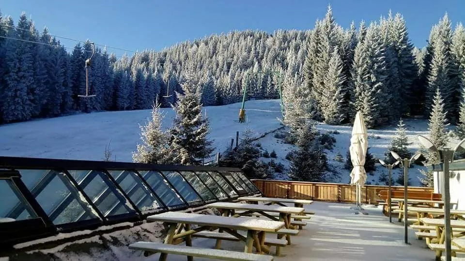 Patio in Hotel Pokljuka