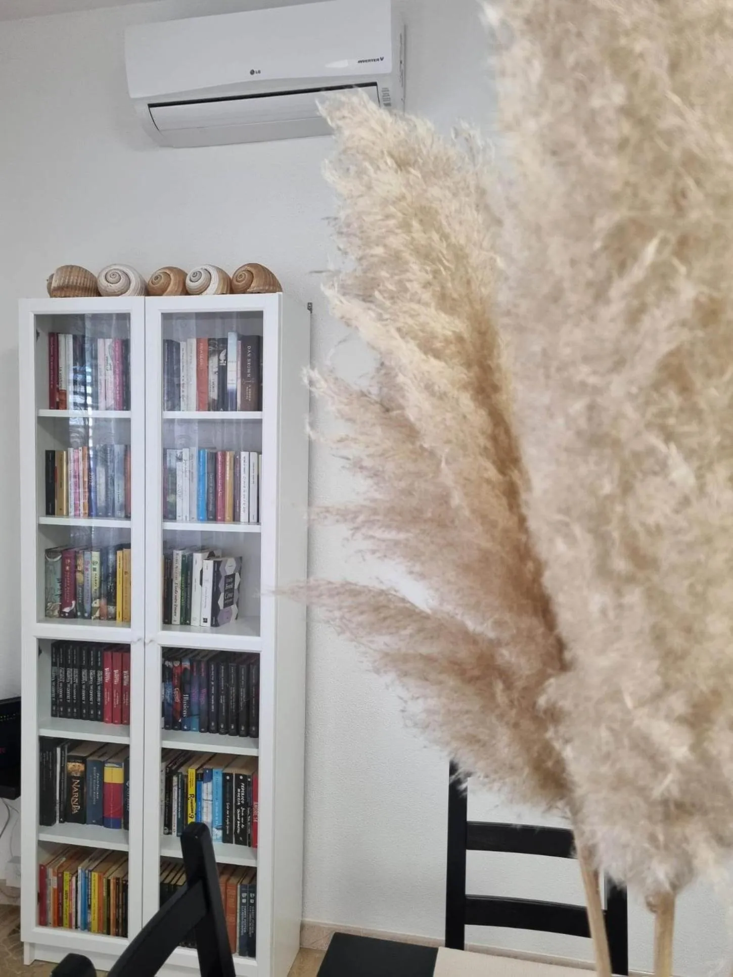 Library in Albatros B&B Porto Cesareo