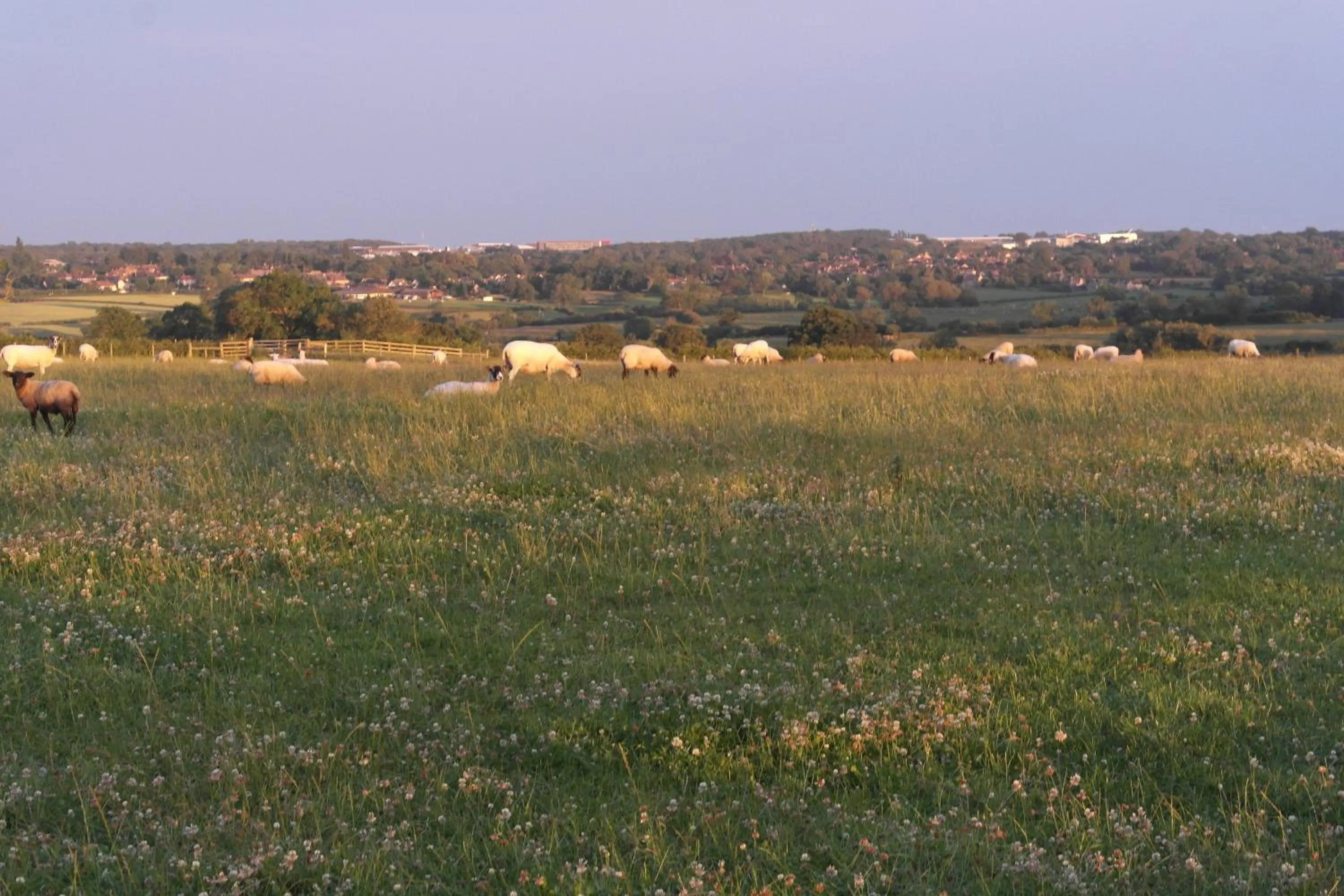 Landmark view in Handley Barn