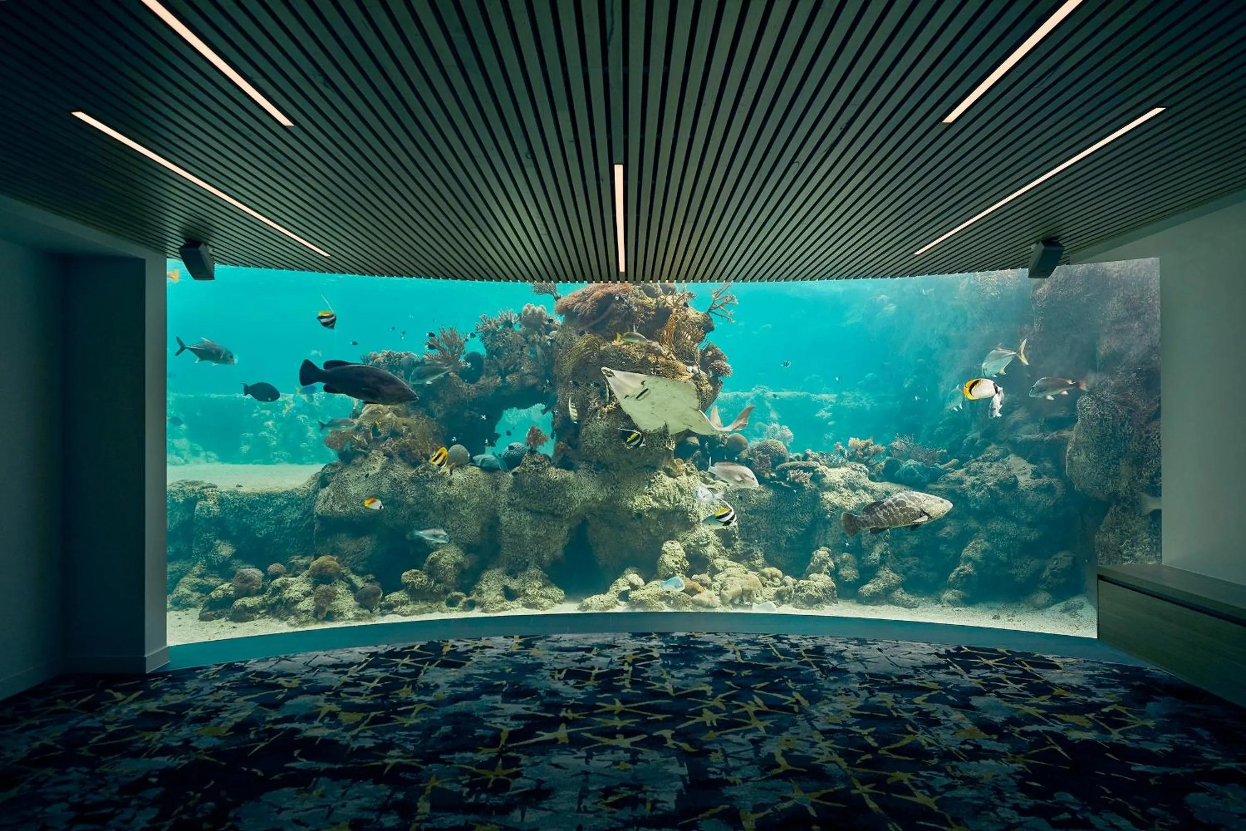 Activities in Daydream Island Resort