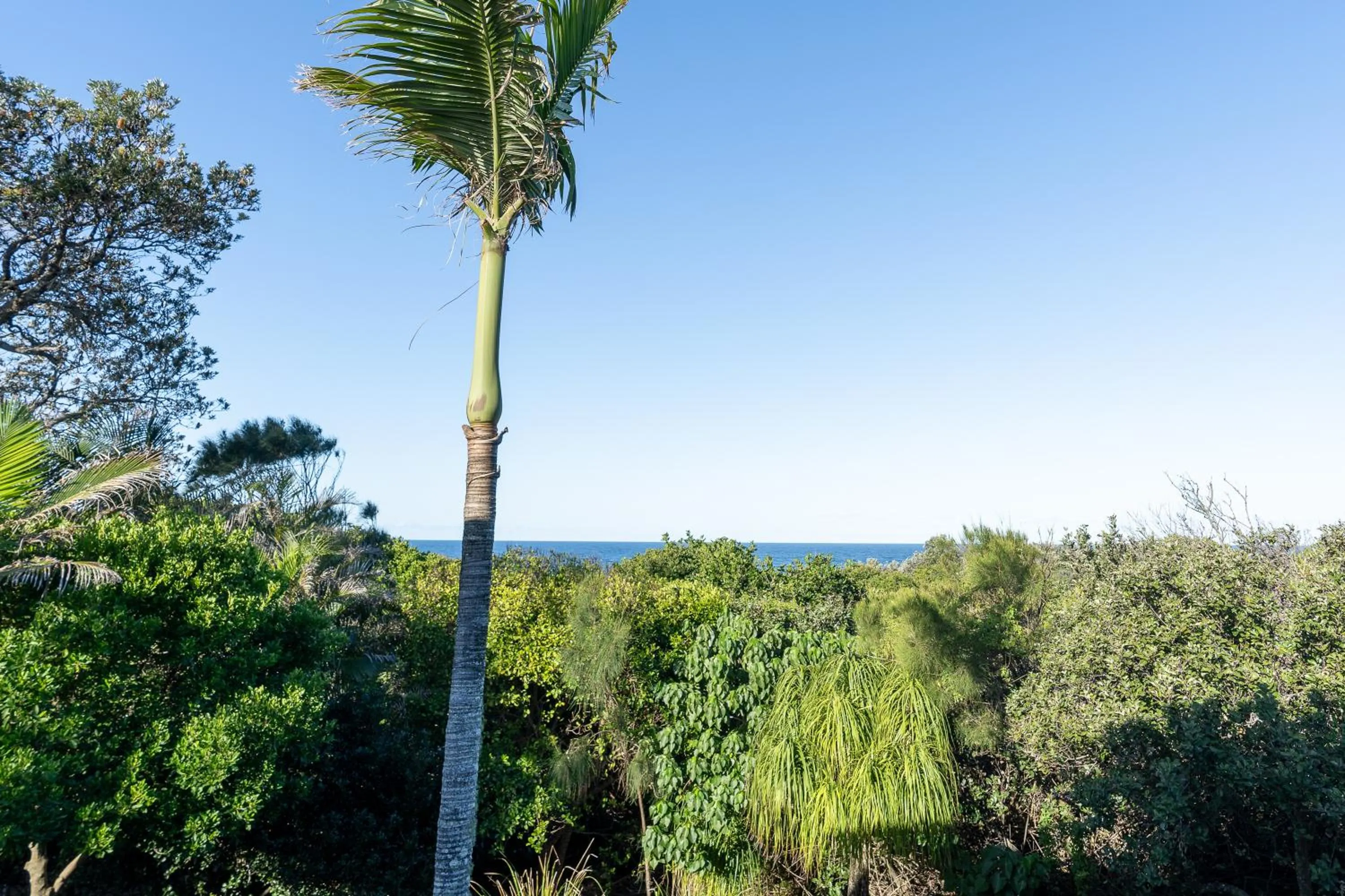 Glen Eden Beach Resort