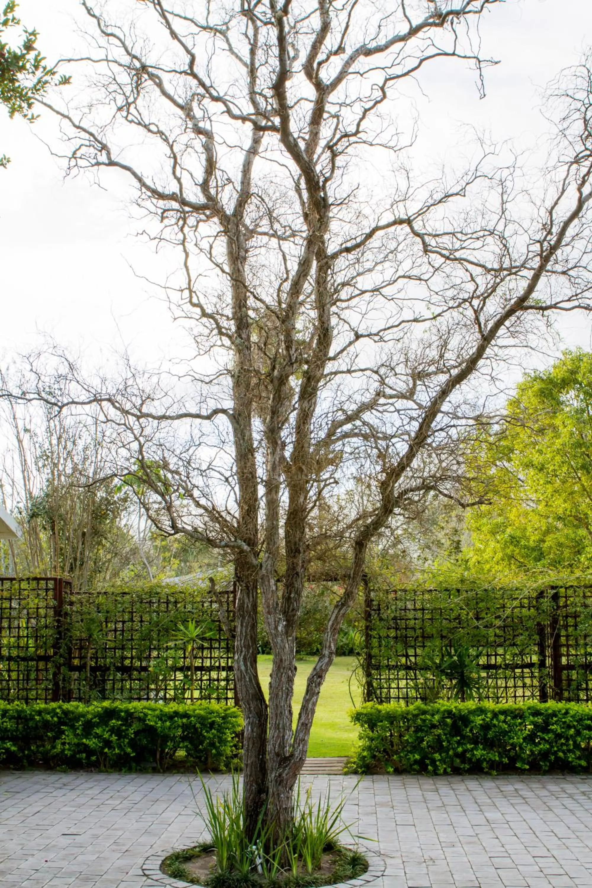 Parking in Cherry Berry Lodge