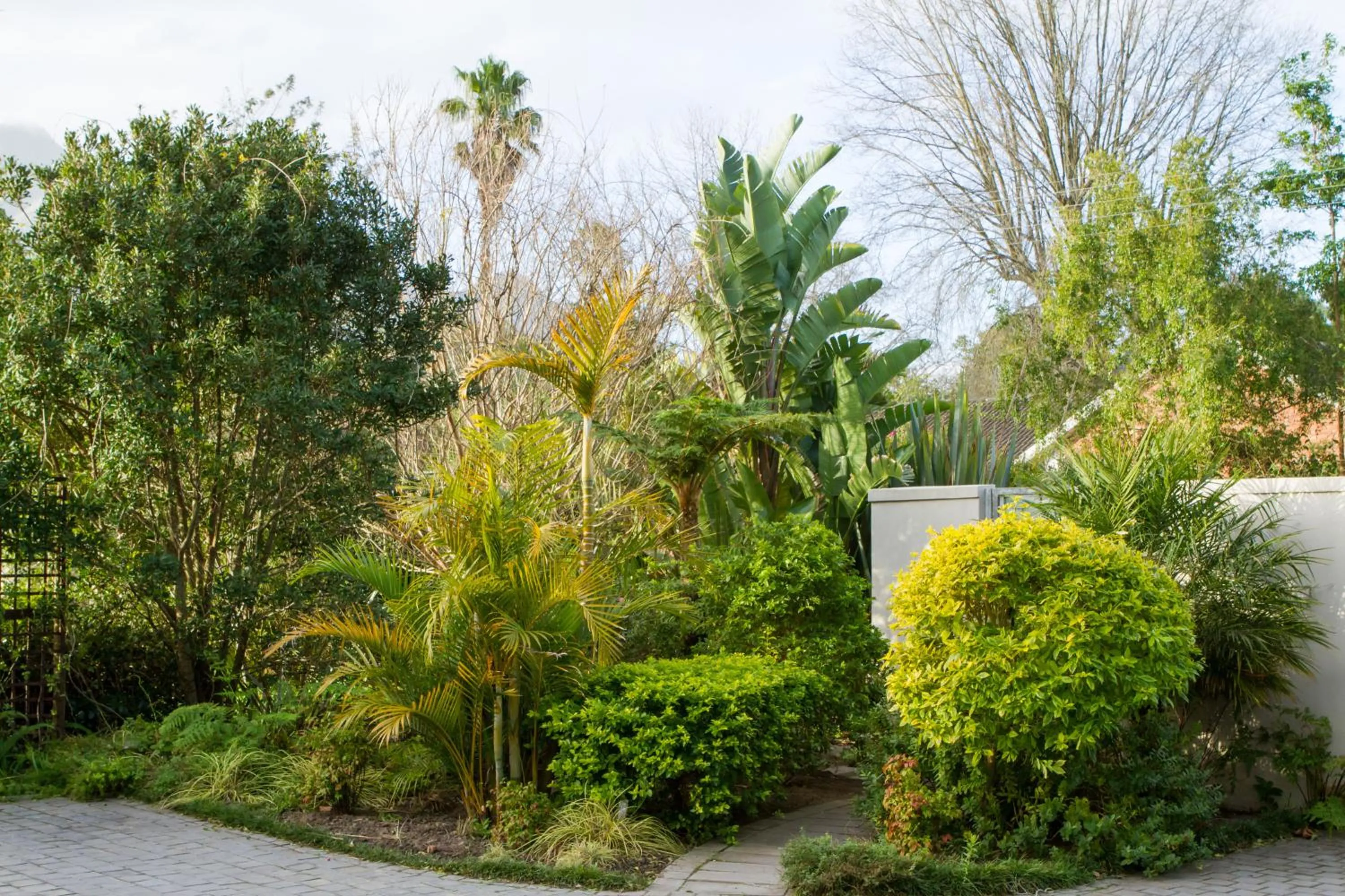 Garden in Cherry Berry Lodge