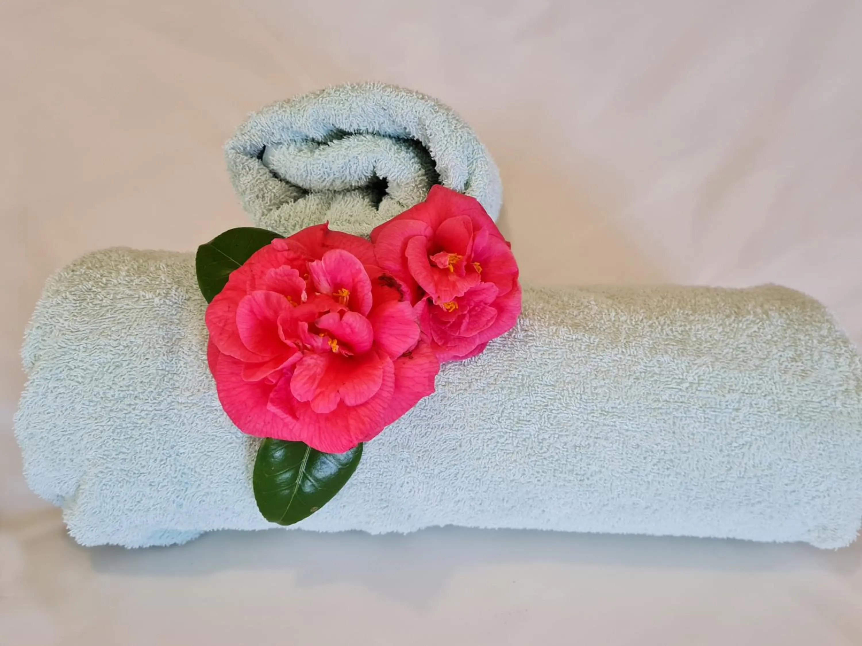 Bedroom in Cherry Berry Lodge