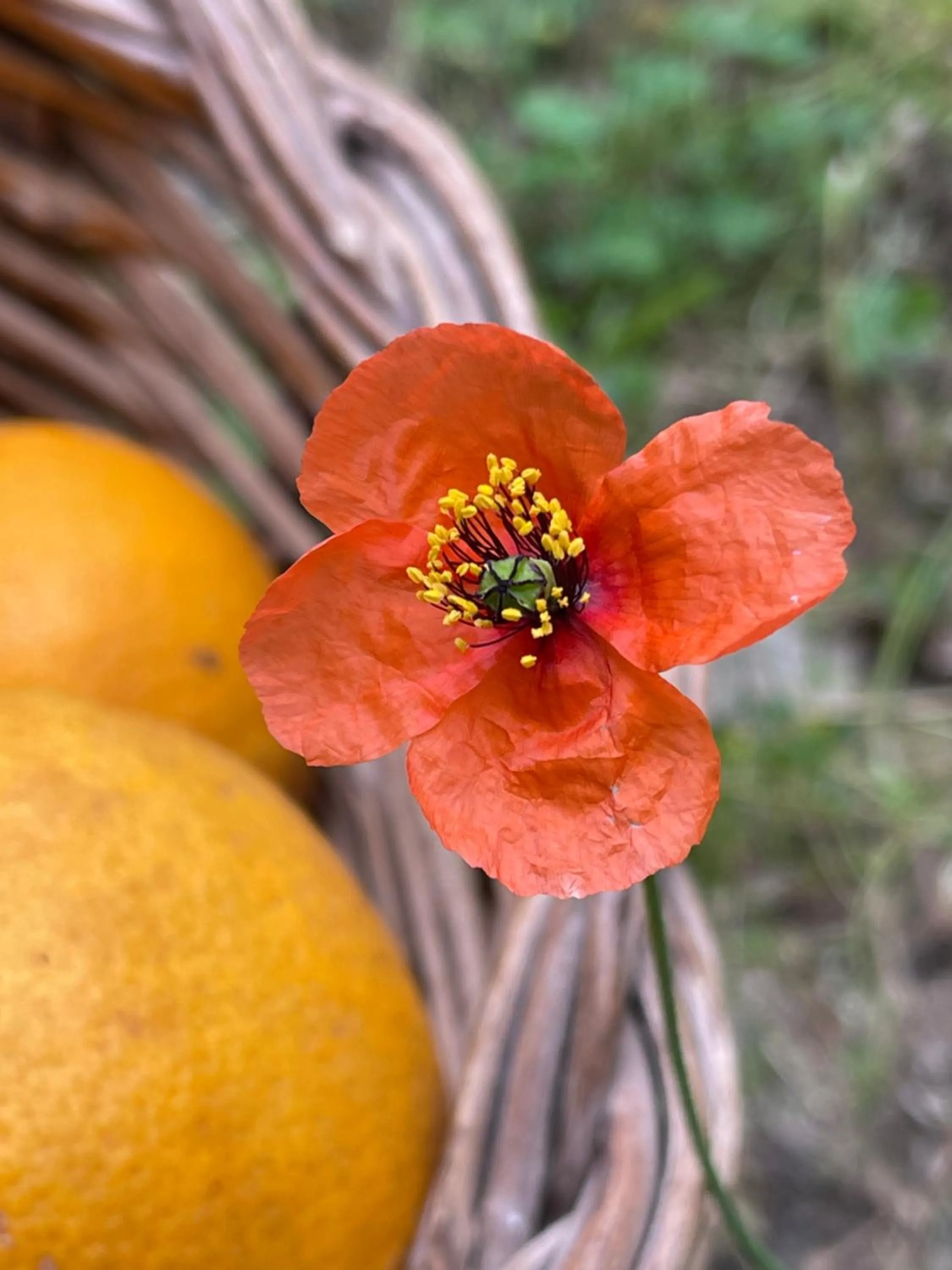 Decorative detail in S'Arenada Hotel - Adults Only