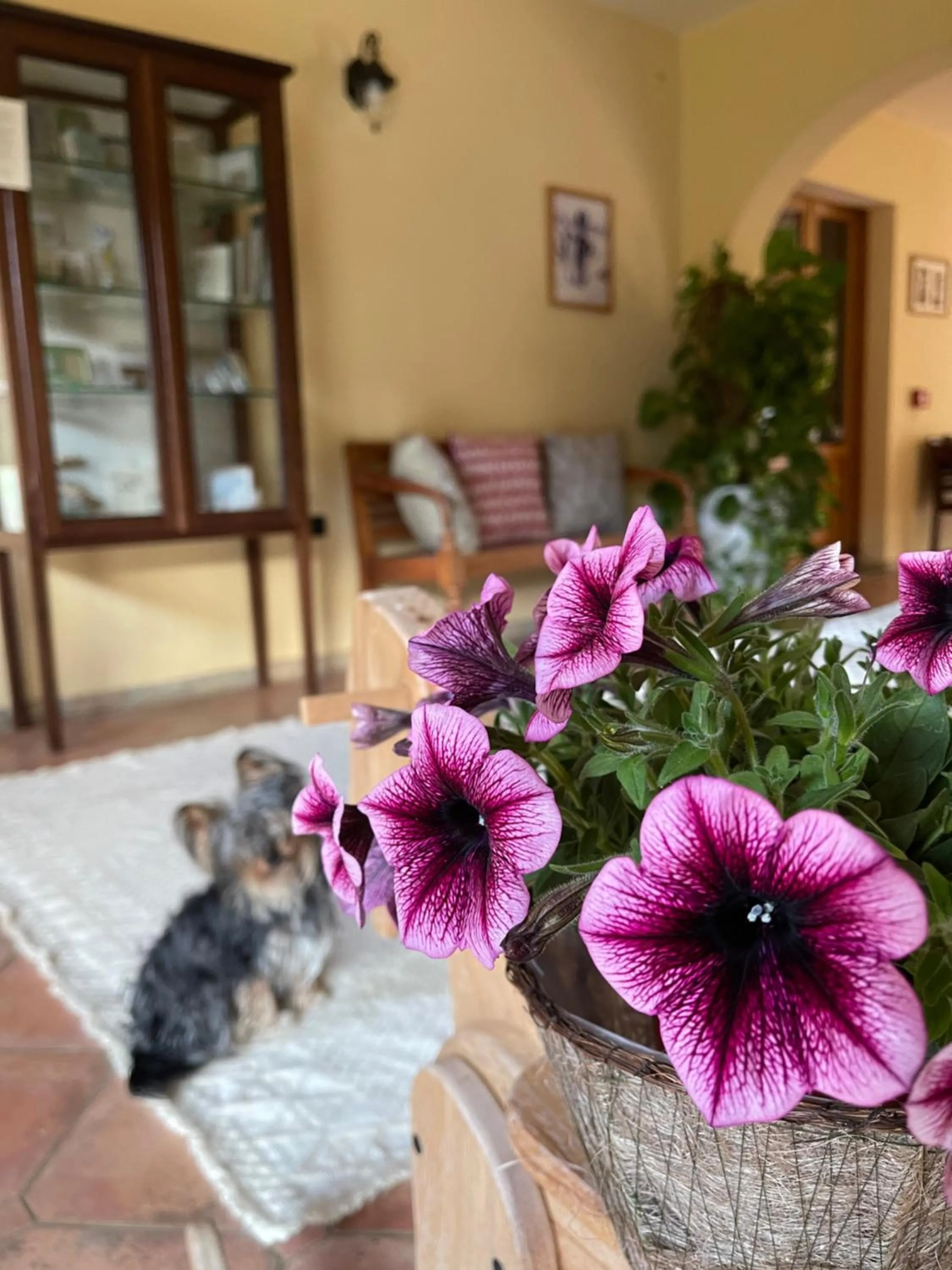 Lobby or reception in S'Arenada Hotel - Adults Only