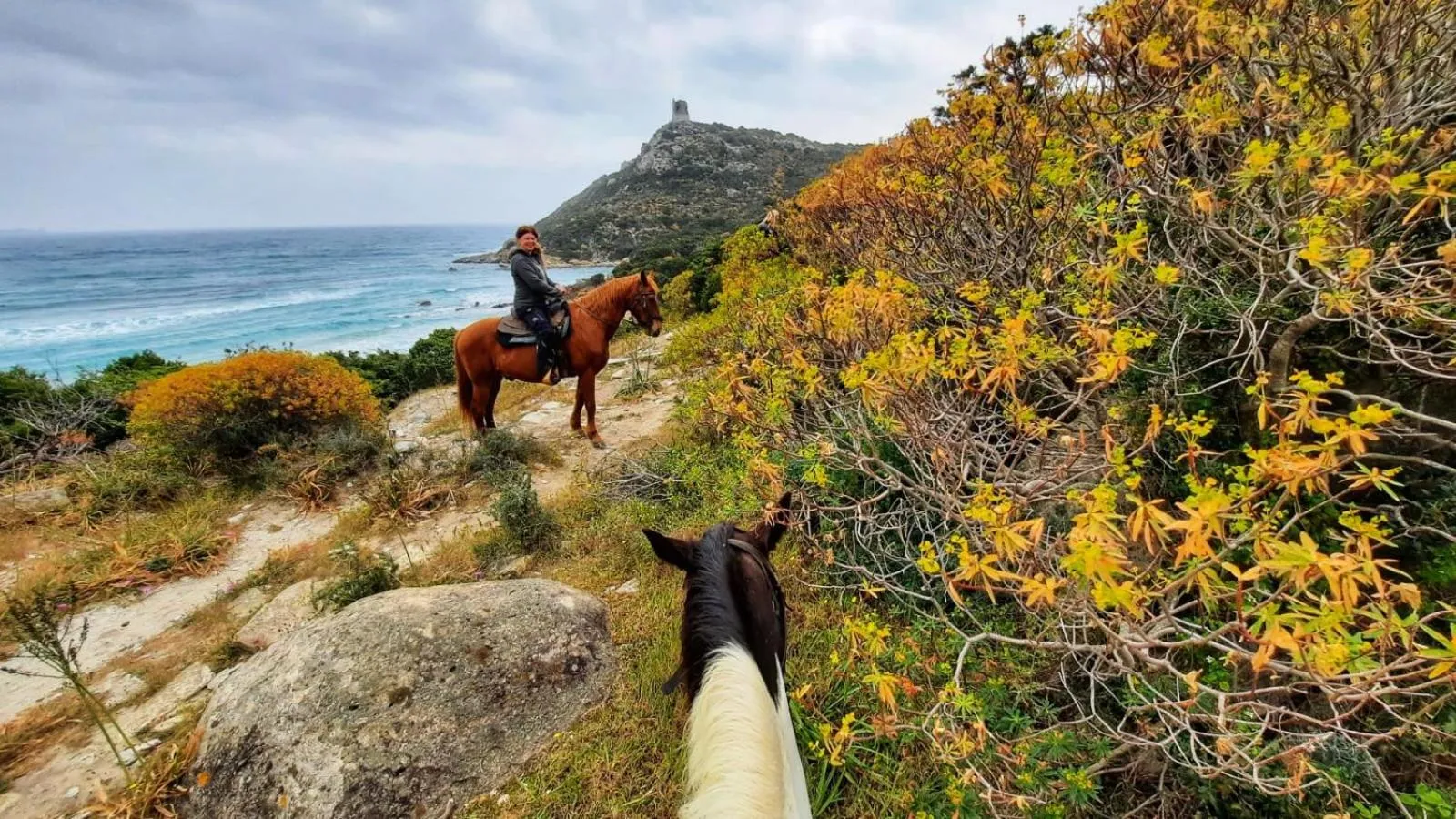 Activities in S'Arenada Hotel - Adults Only