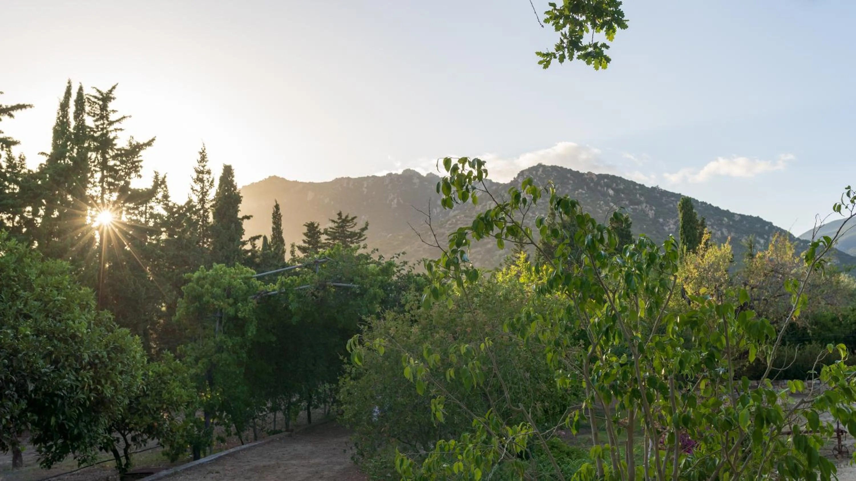 Natural landscape in S'Arenada Hotel - Adults Only