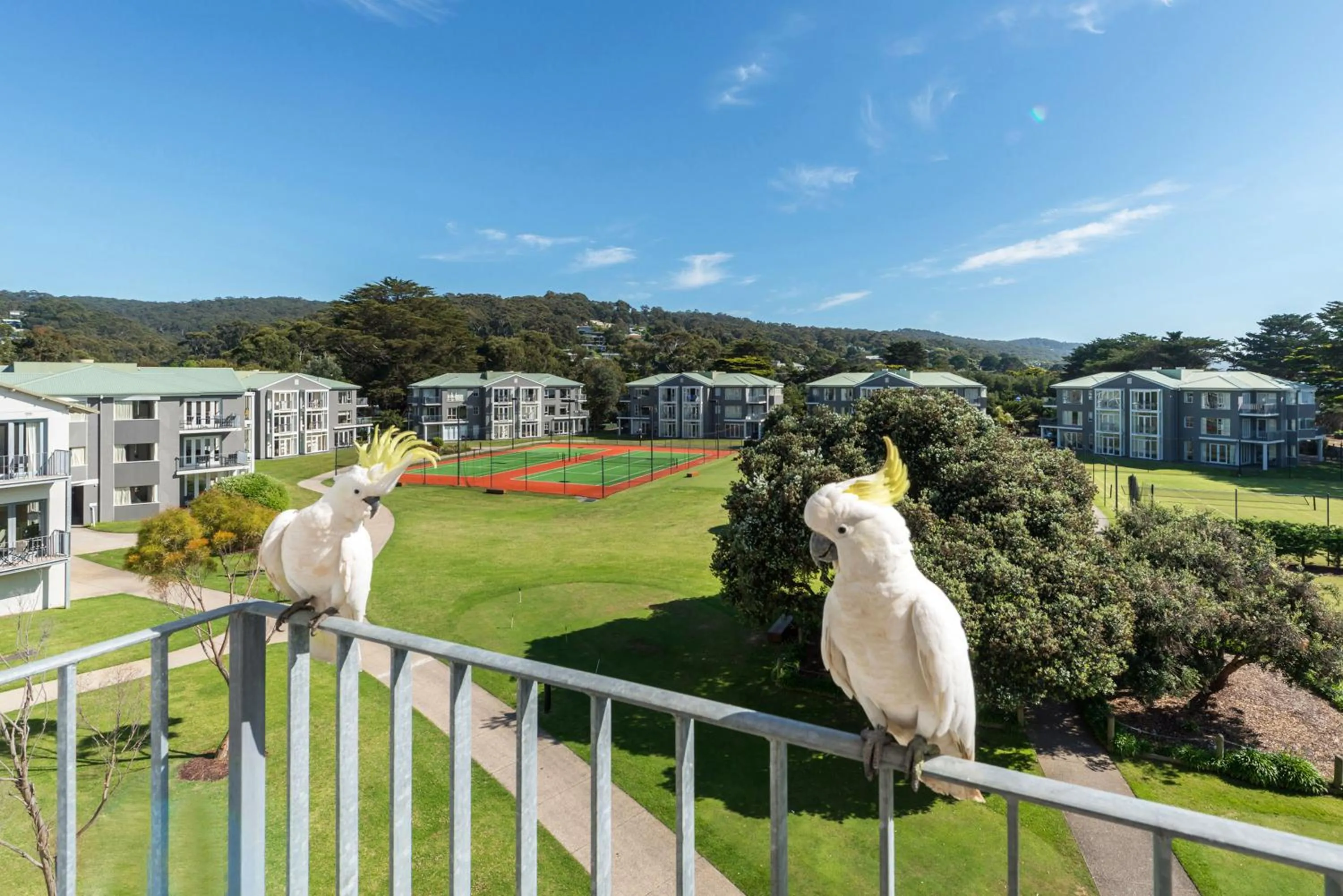 Tennis court in Mantra Lorne