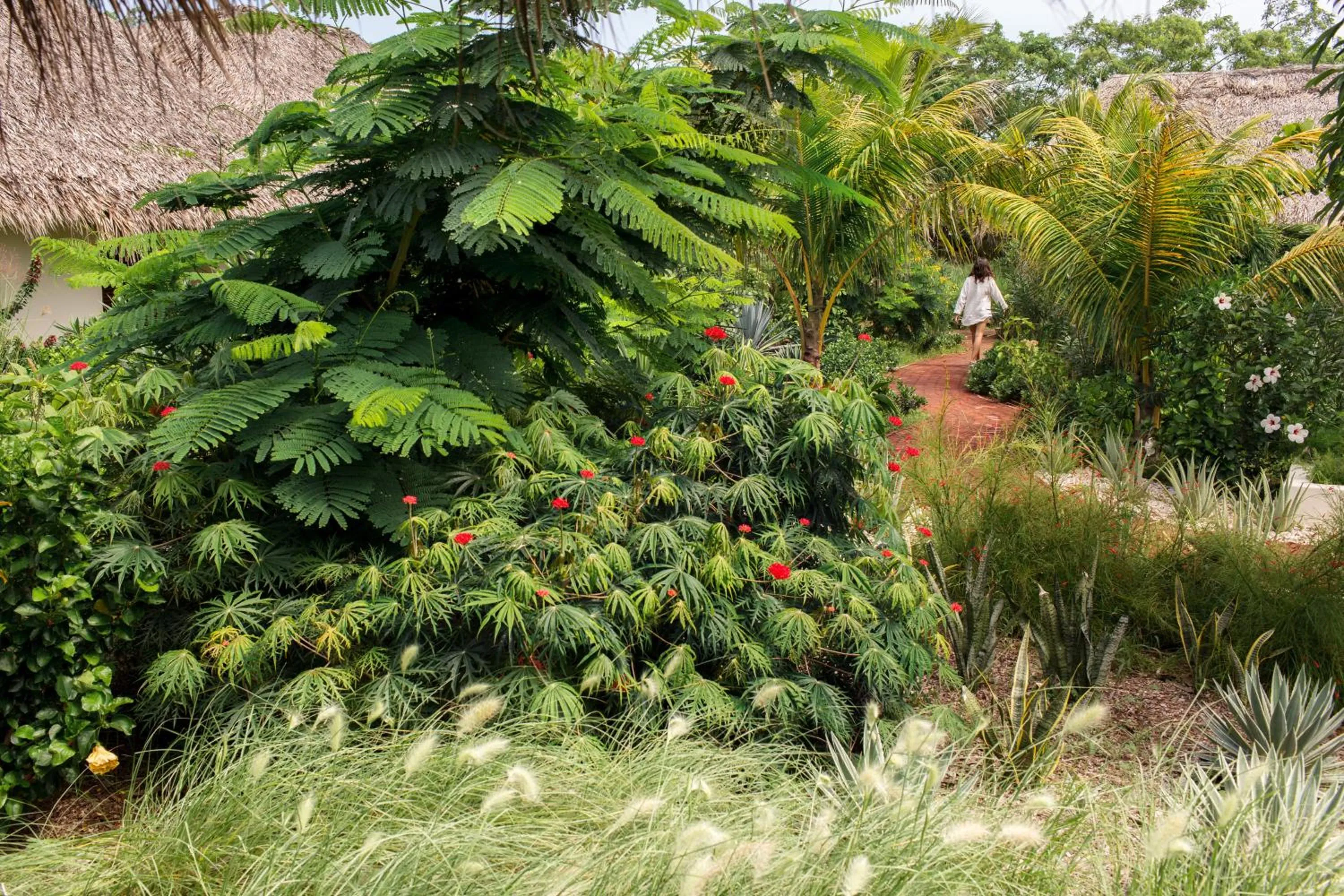 Day in Malibu Popoyo