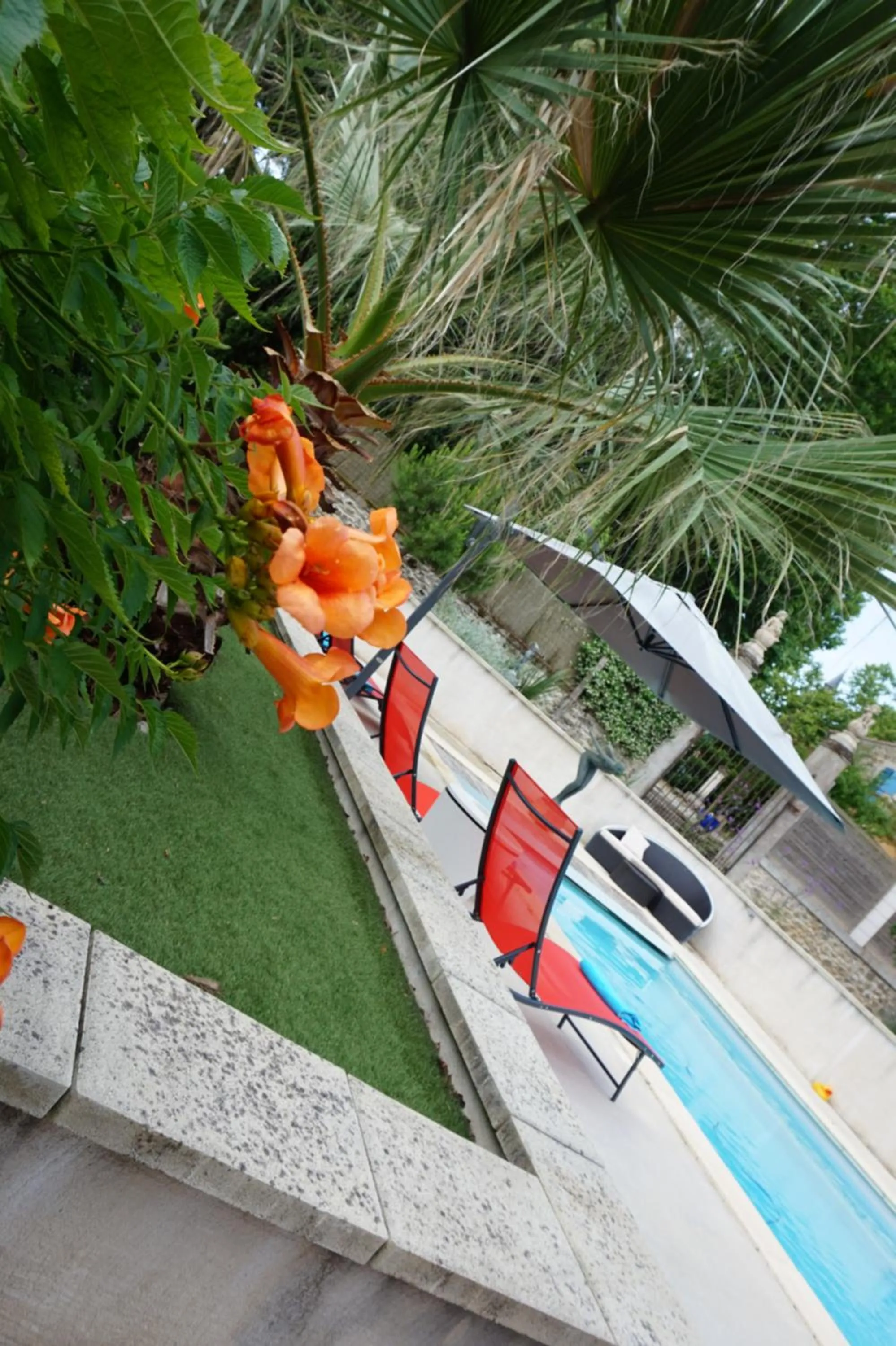 Swimming pool in Le Clos des Troubadours