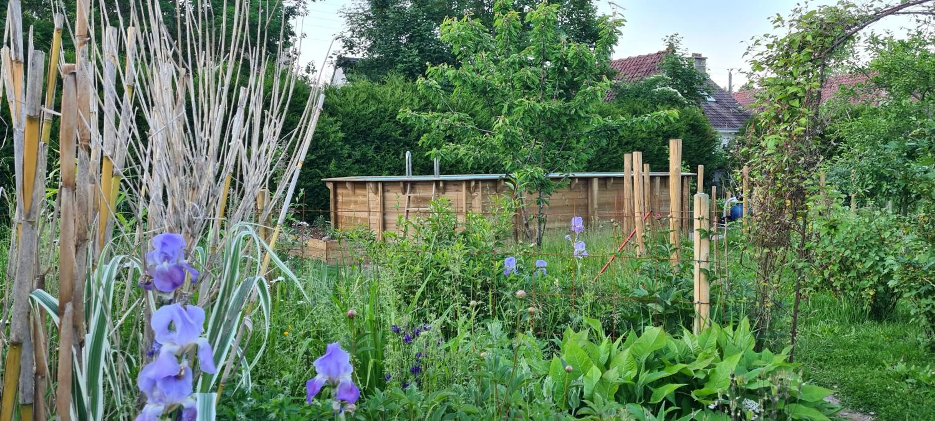 Natural landscape in Au Bois Dormant