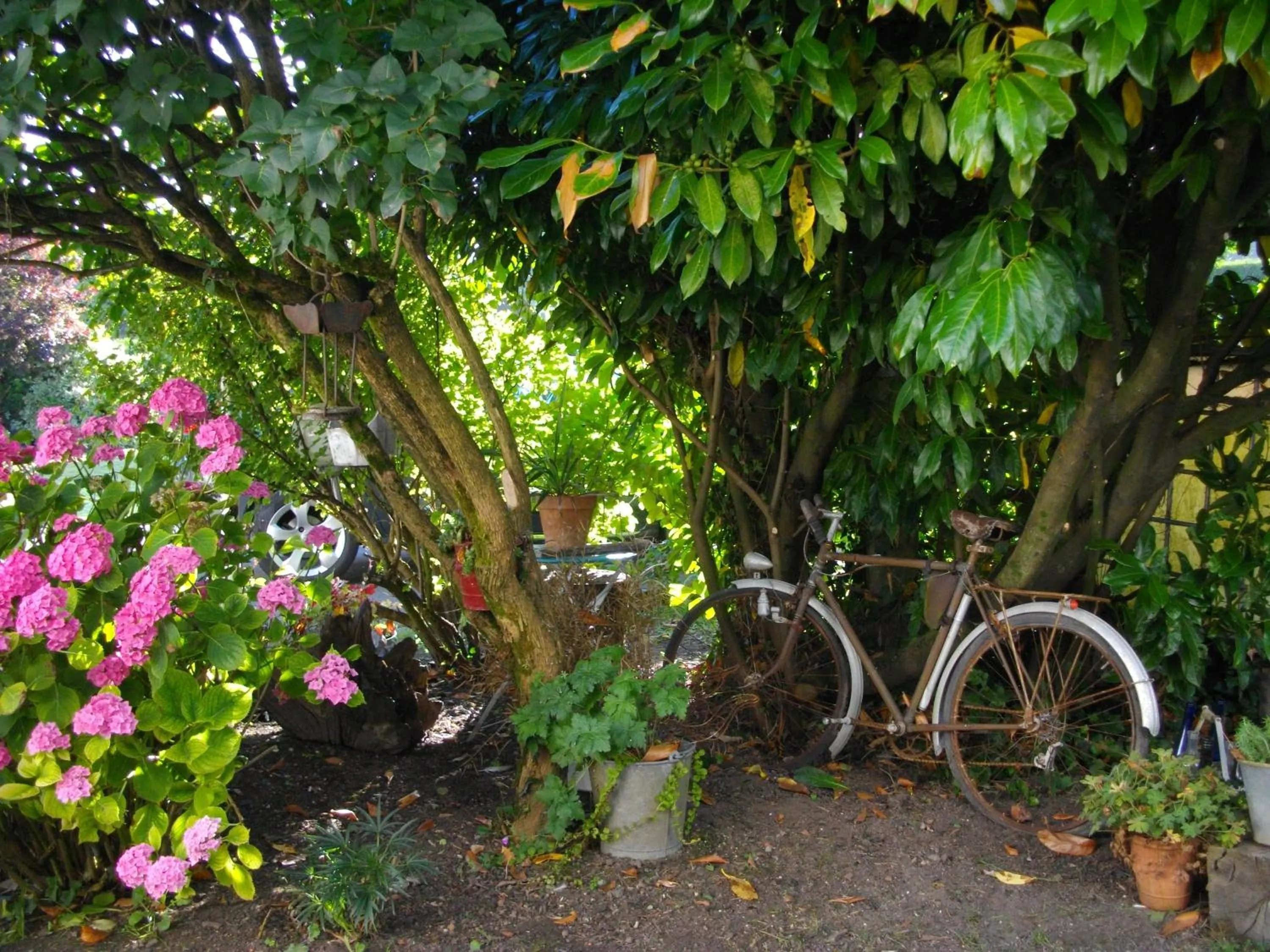 Garden in Au Bois Dormant