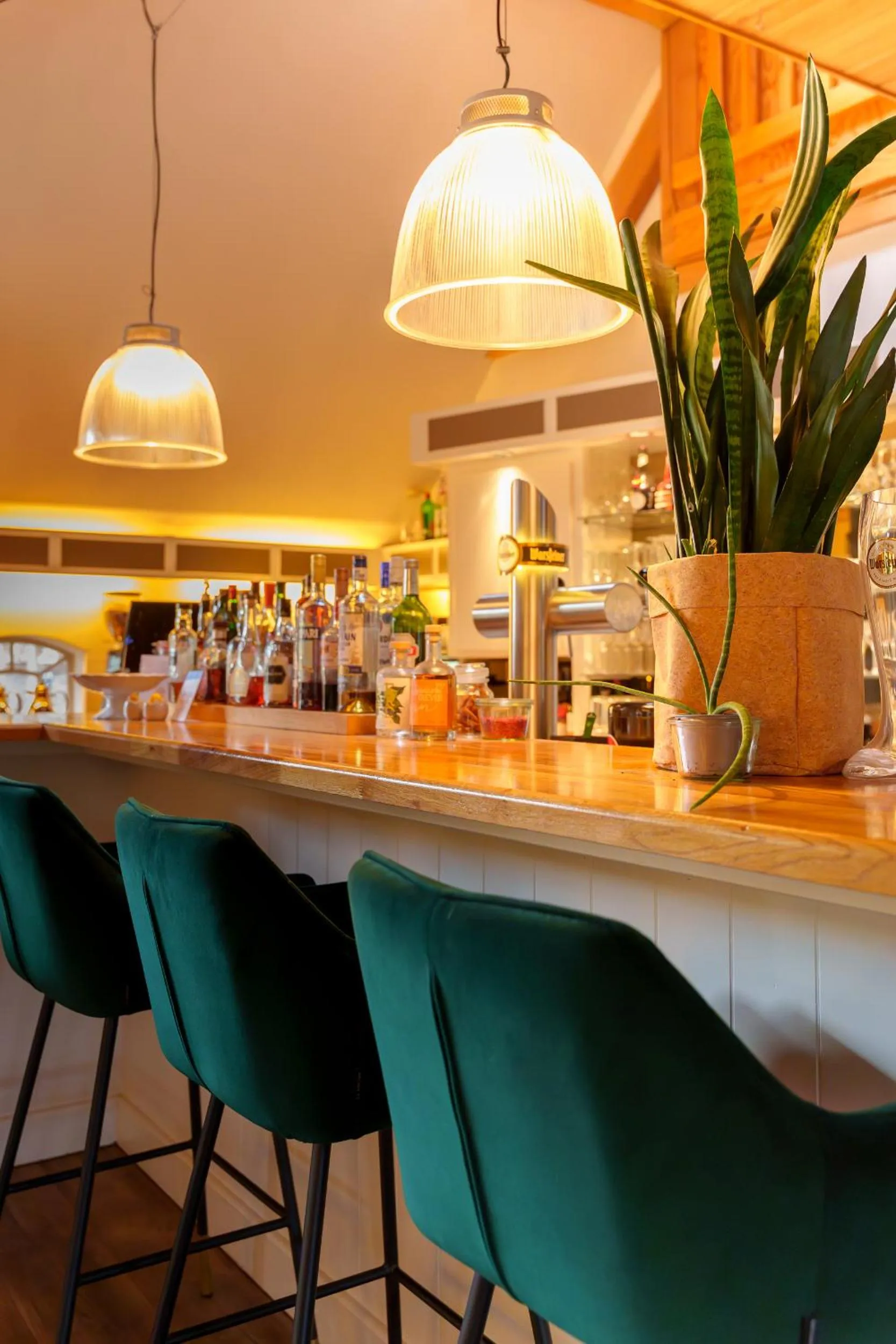 Lounge or bar in Landhotel Diever