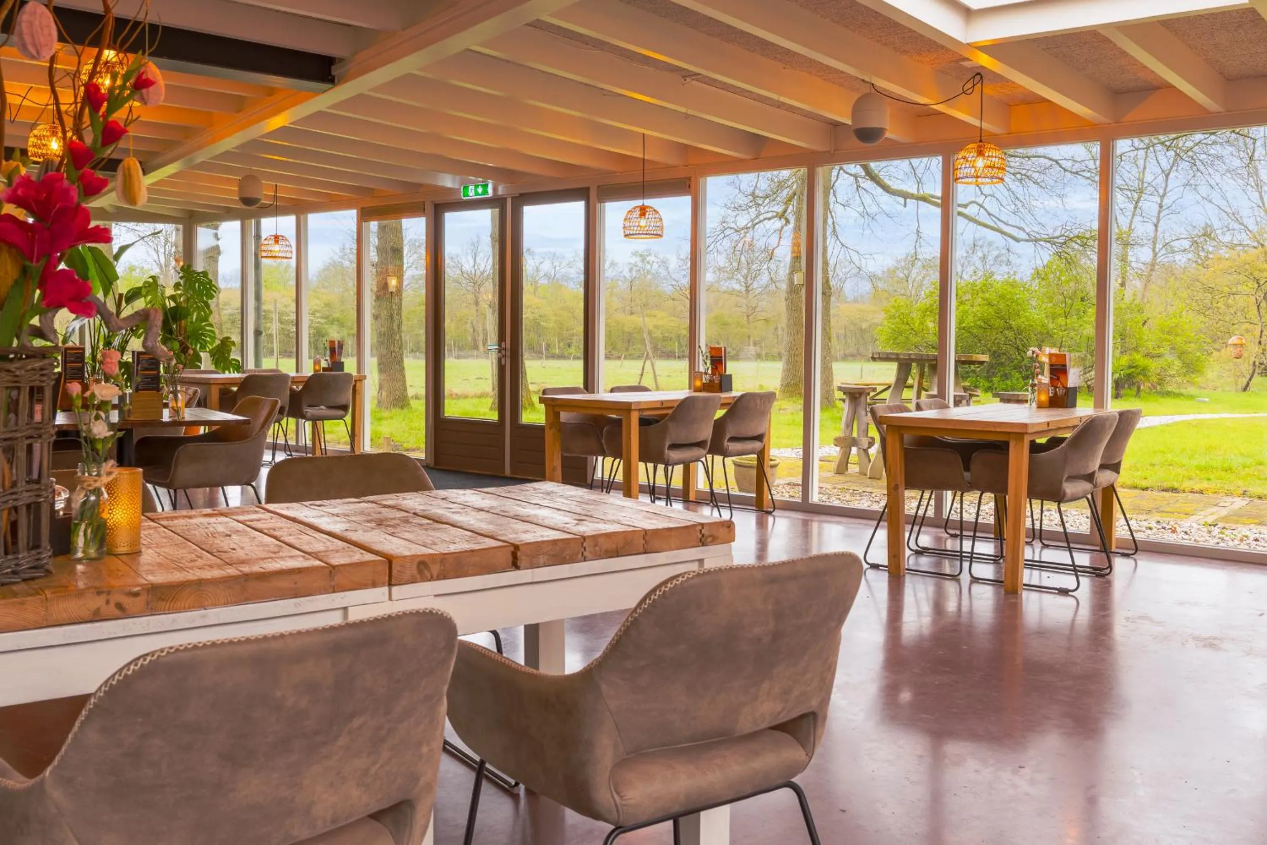 Restaurant/places to eat in Landhotel Diever