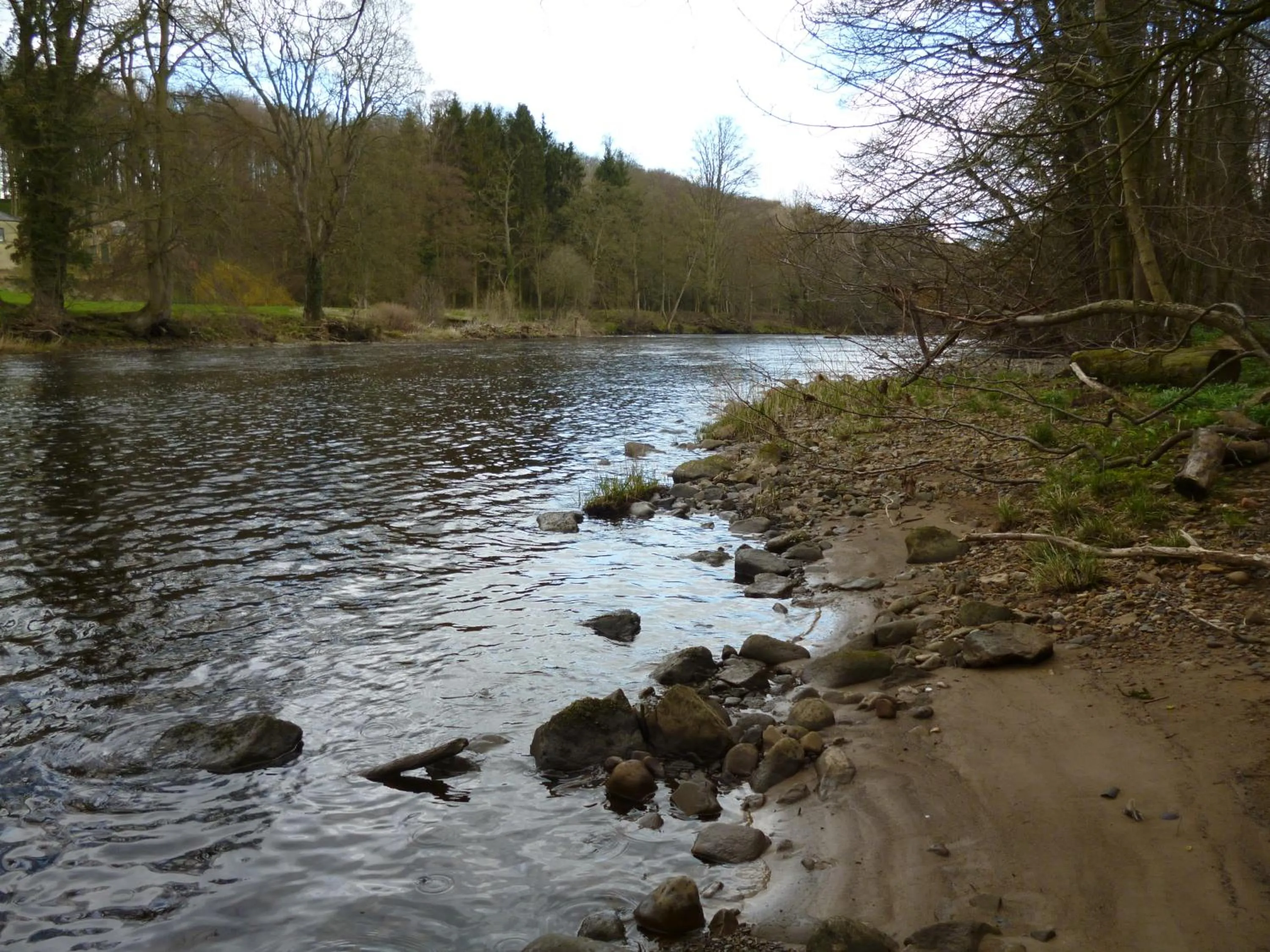 River view in Mickley Bed and Breakfast