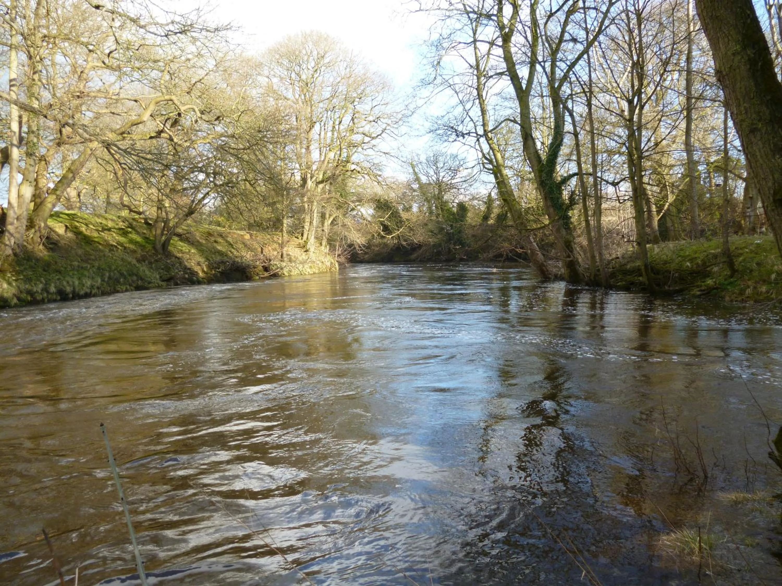 River view in Mickley Bed and Breakfast