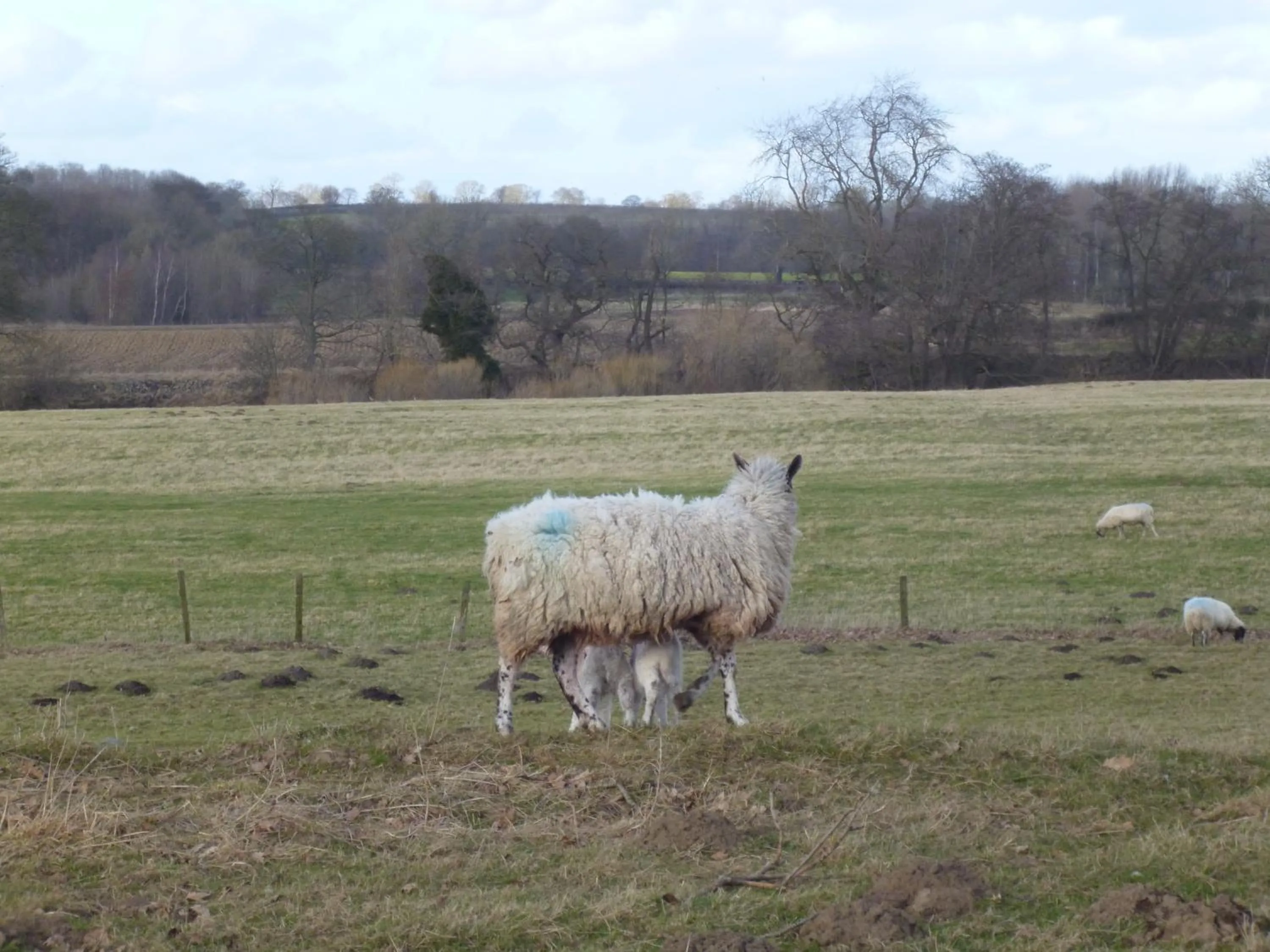 Neighbourhood in Mickley Bed and Breakfast