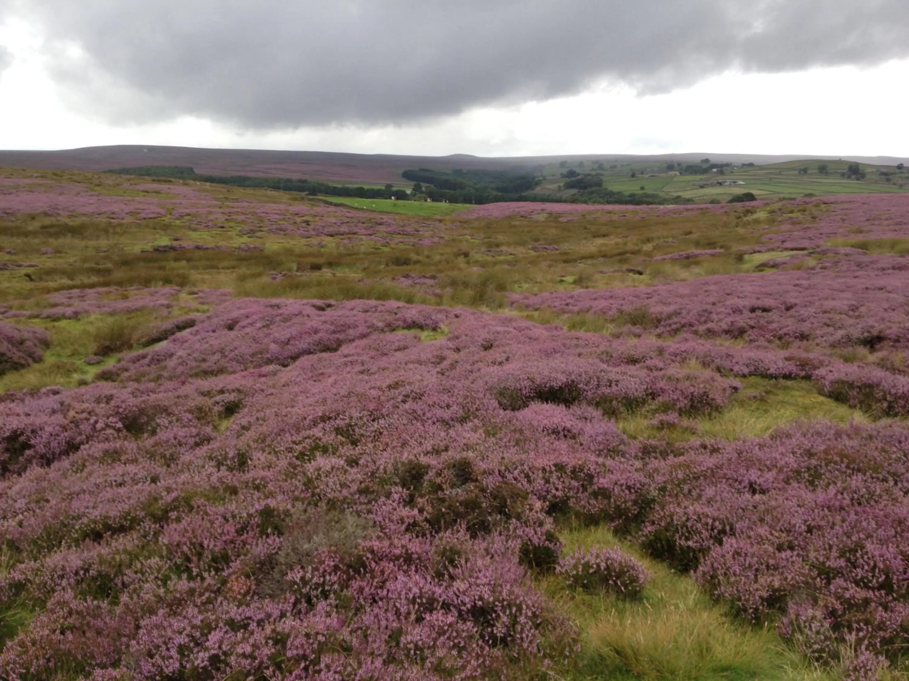 Off site in Mickley Bed and Breakfast