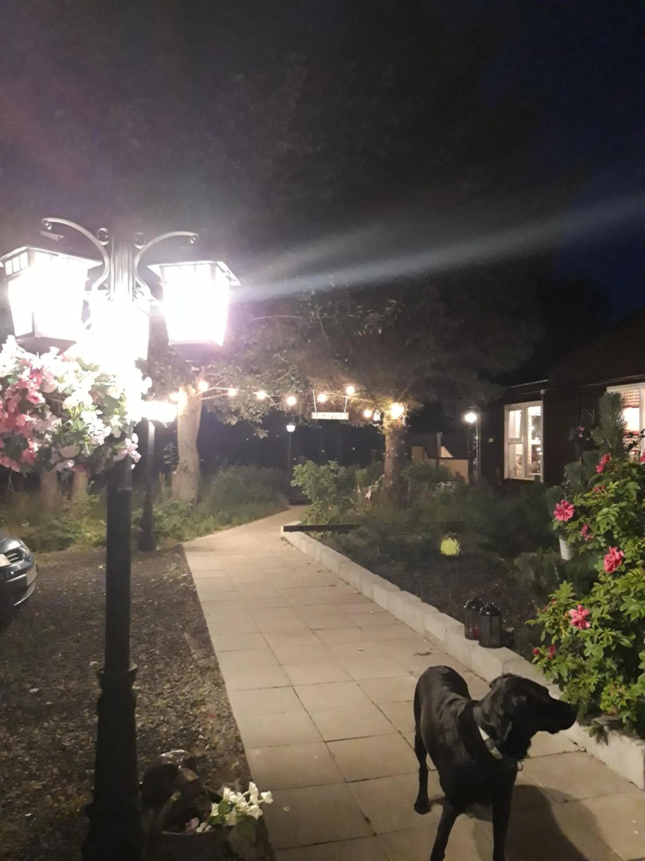 Country Dream - Langholt 2