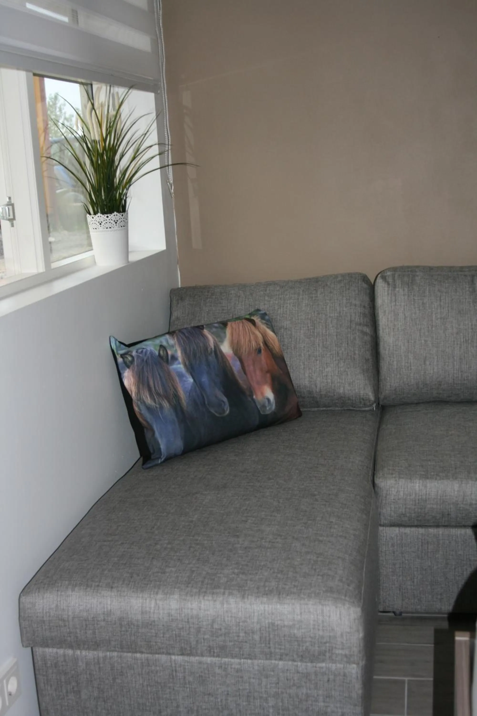 Country Dream - Langholt 2