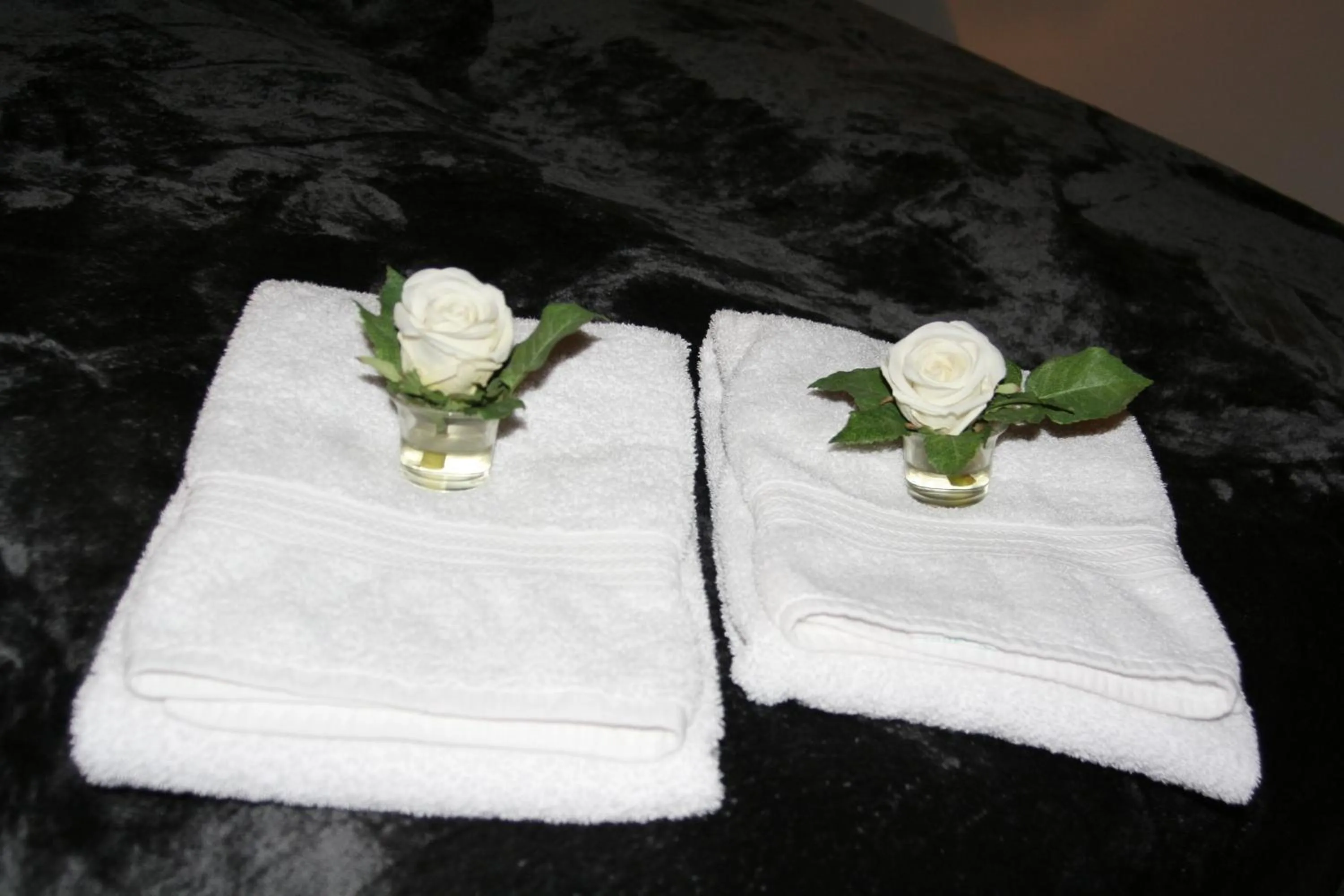 Country Dream - Langholt 2