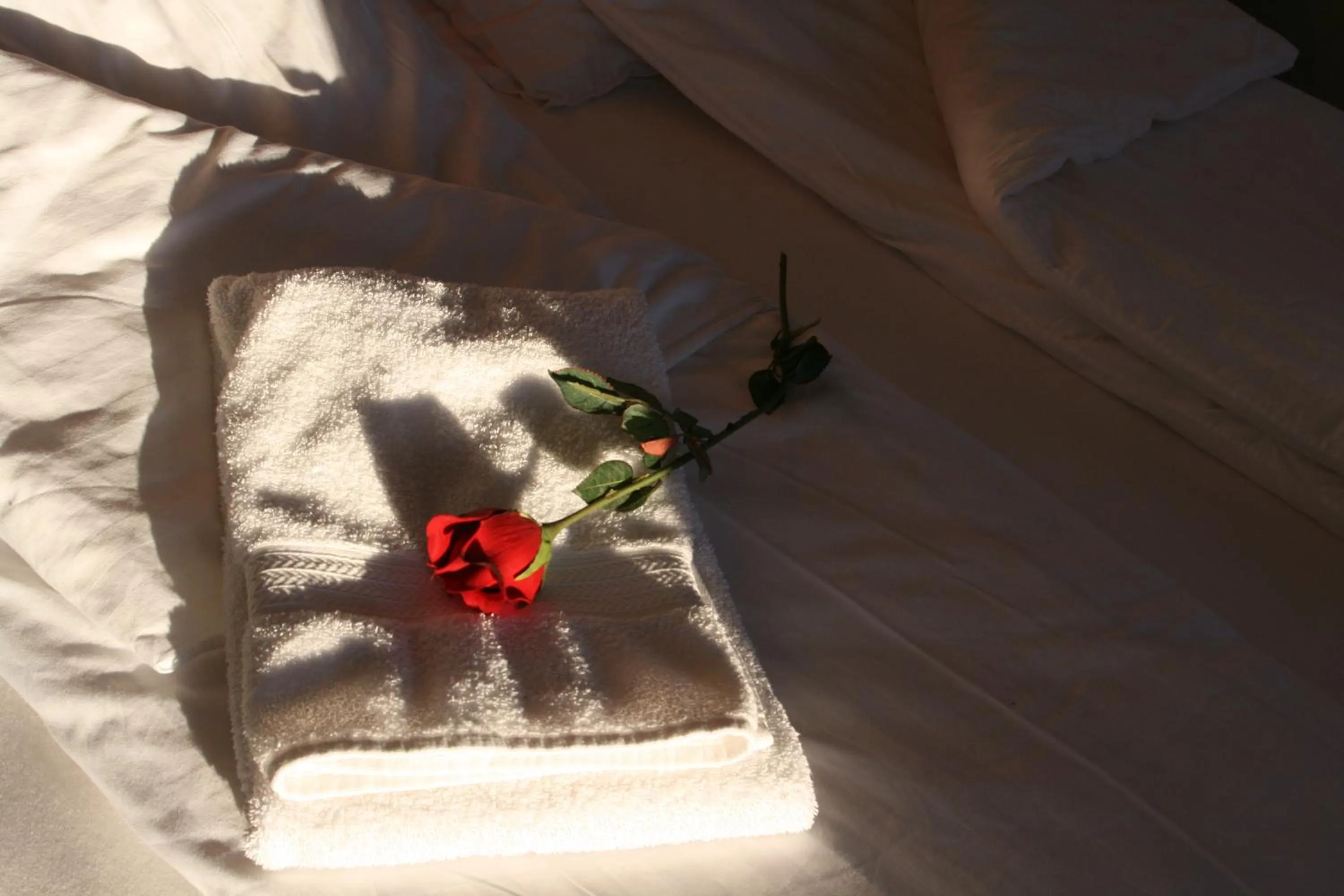 Bed in Country Dream - Langholt 2